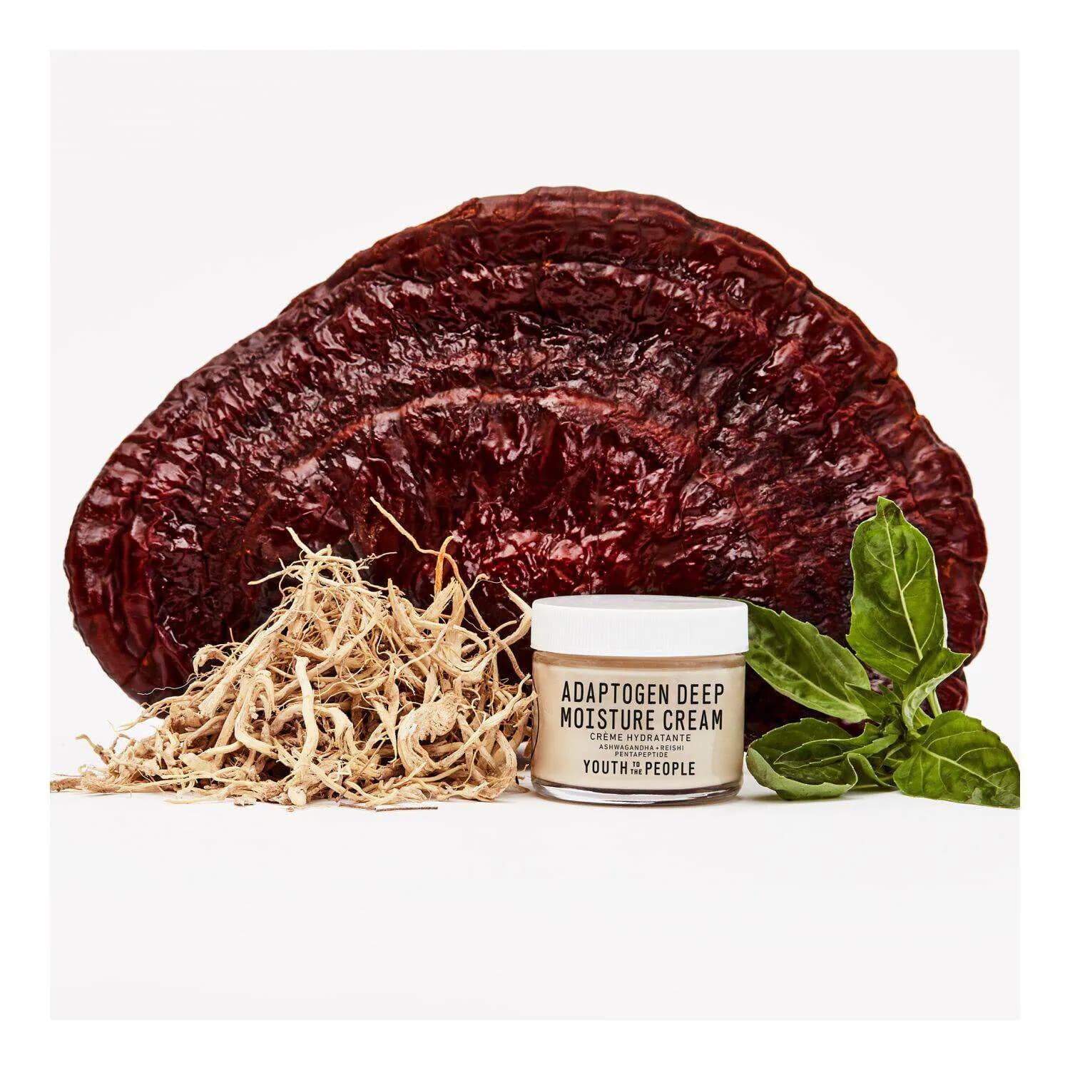 Adaptogen Deep Moisturizing Cream With Ashwagandha + Reishi