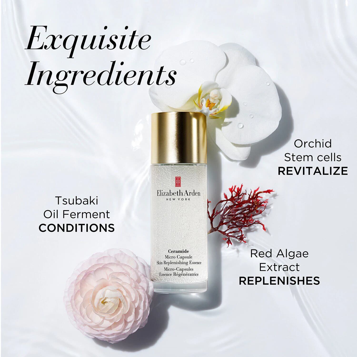 Ceramide Micro Capsule Skin Replenishing Essence