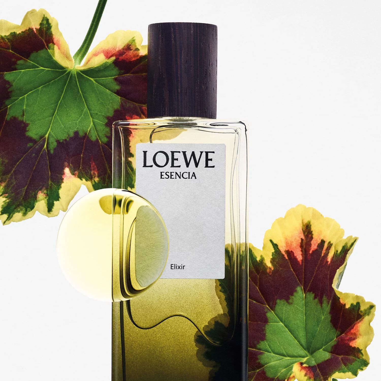 Esencia Elixir