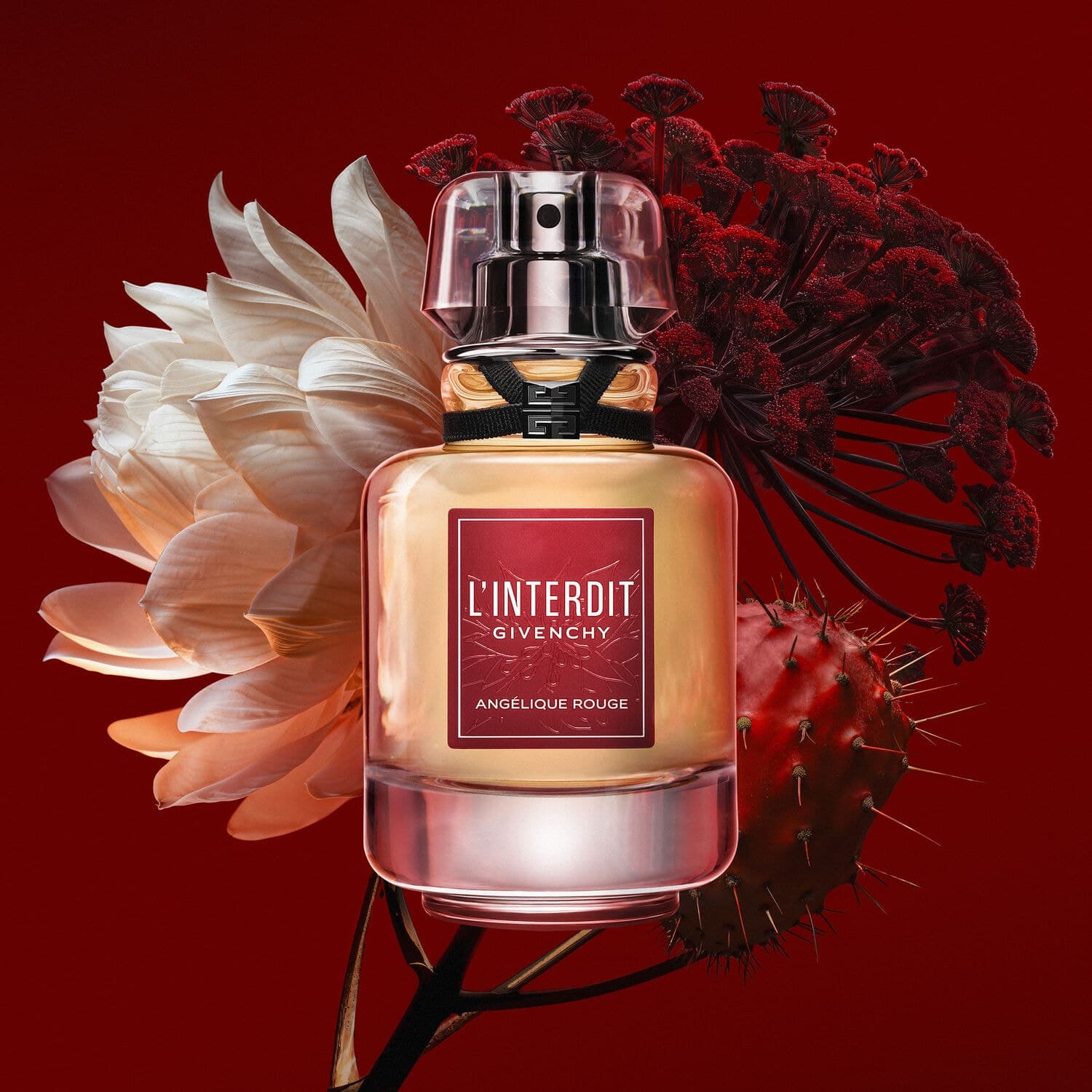 L'interdit Angelique Rouge
