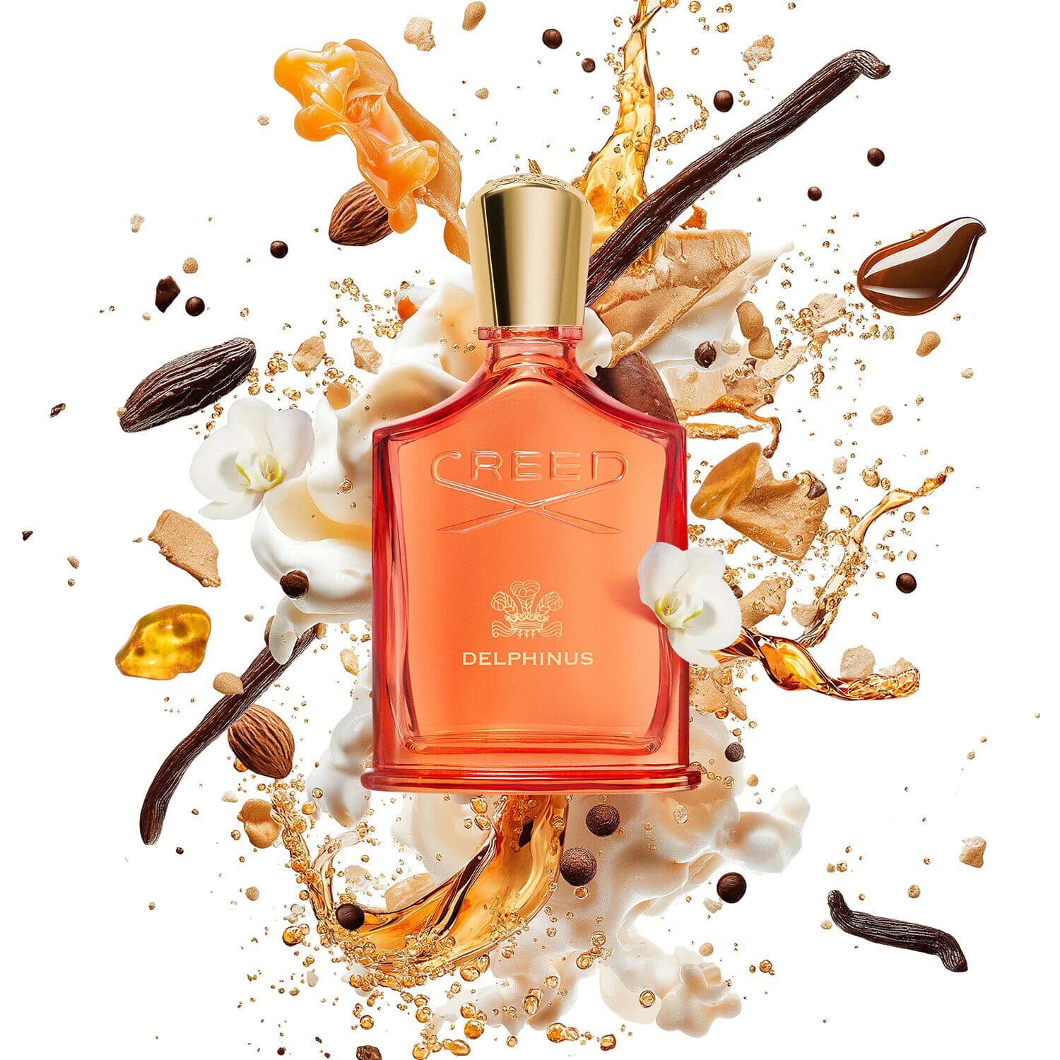 Delphinus Eau de Parfum