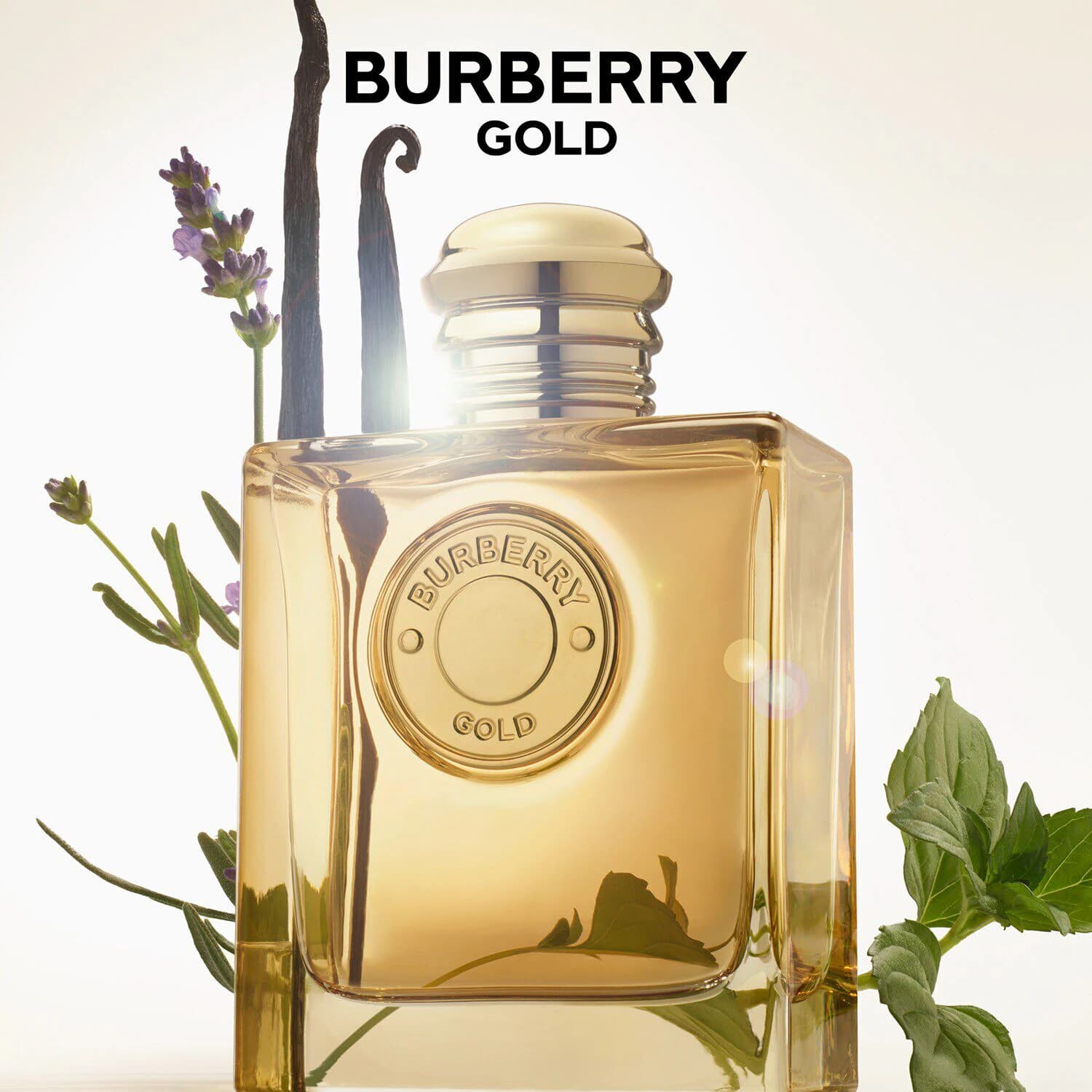 Gold - Eau de Parfum Intense