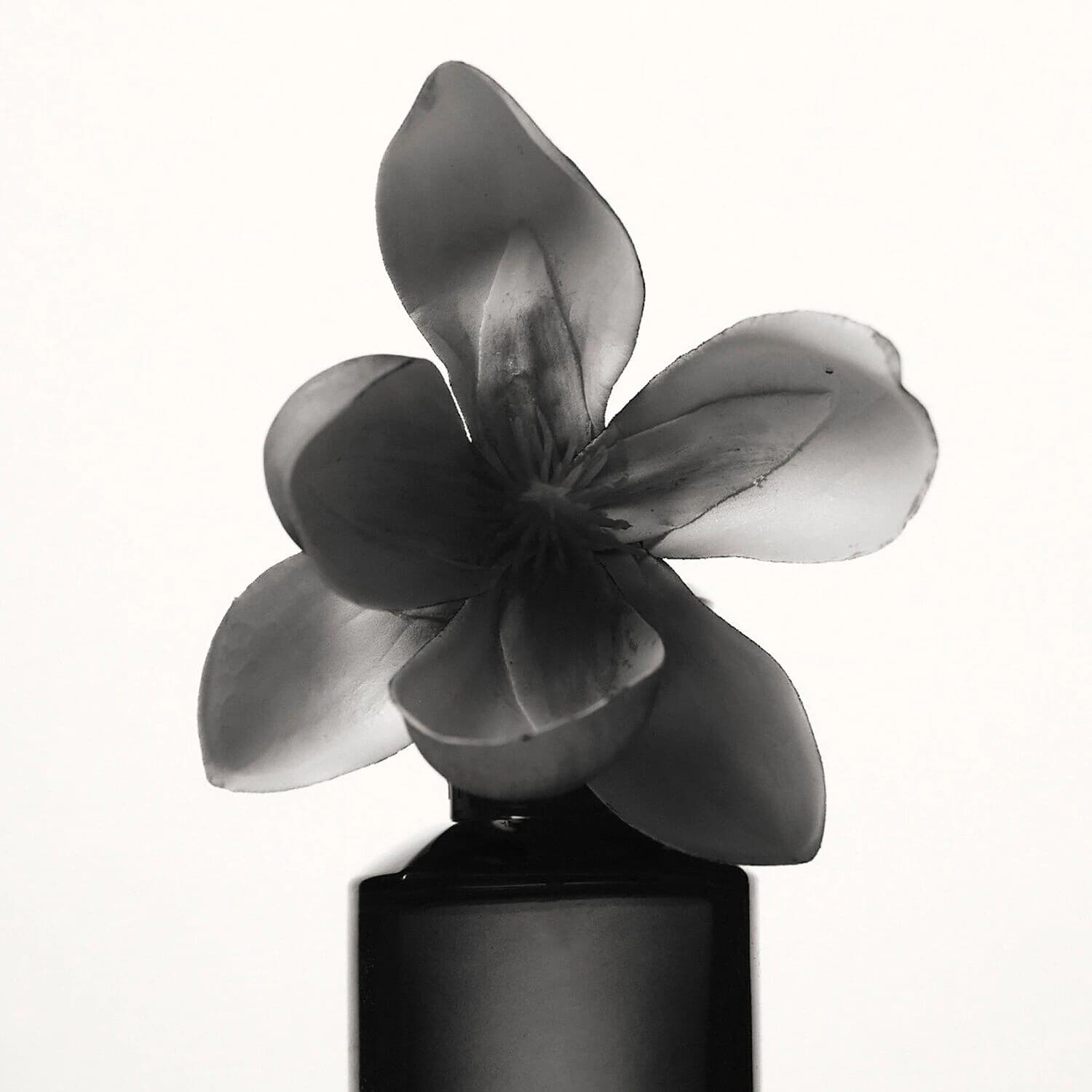 Fenty Eau de Parfum