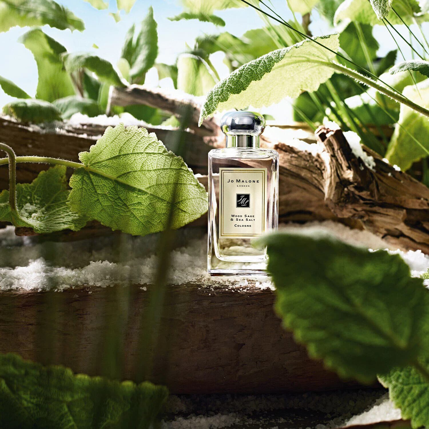 Wood Sage & Sea Salt - Cologne