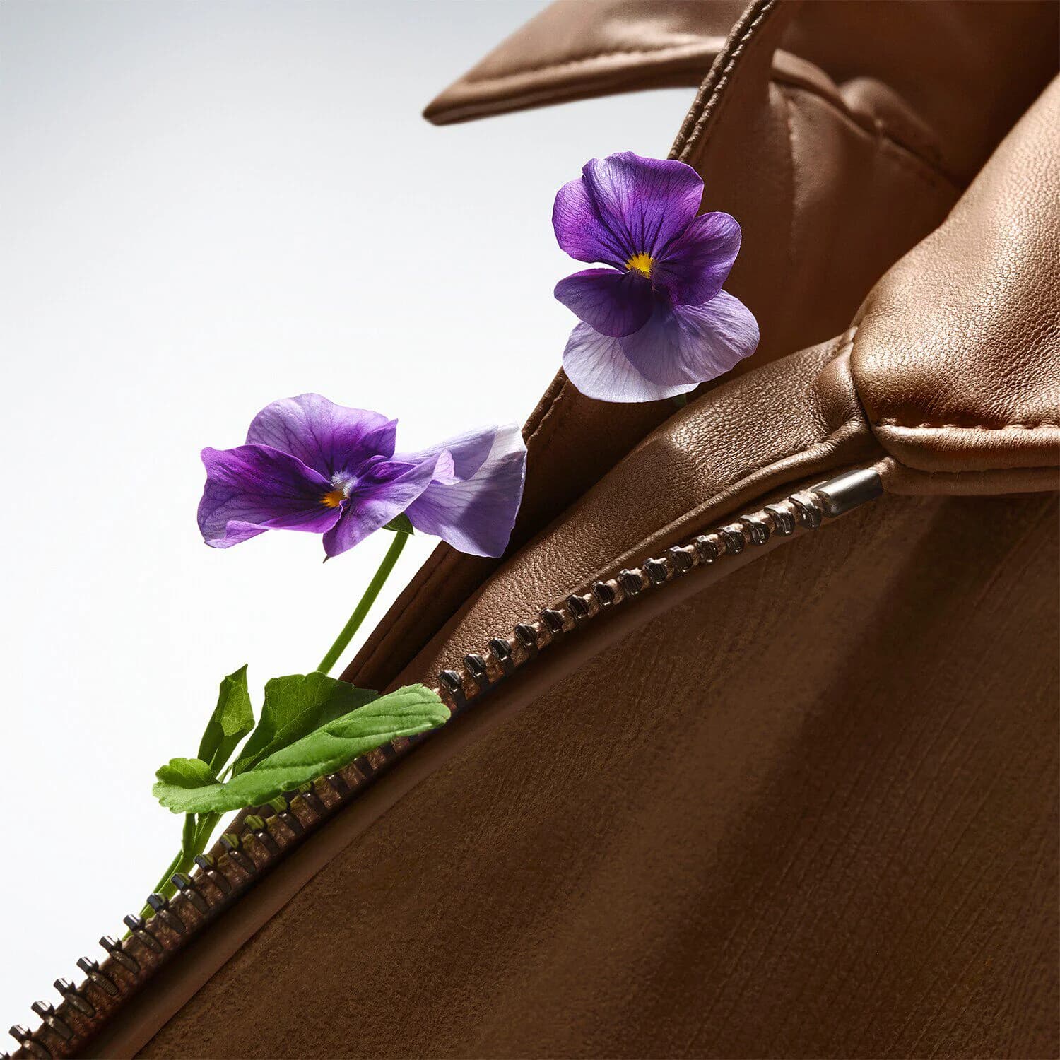 The Collection Wild Violet - Eau De Parfum