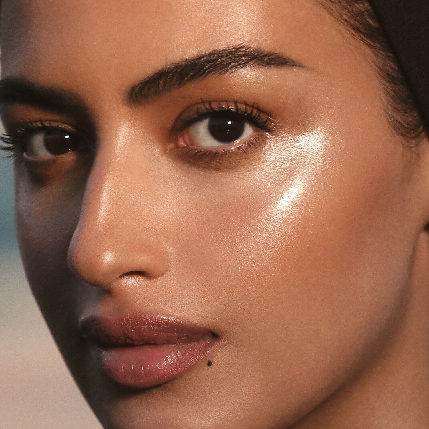 Sheers Stick Highlighter