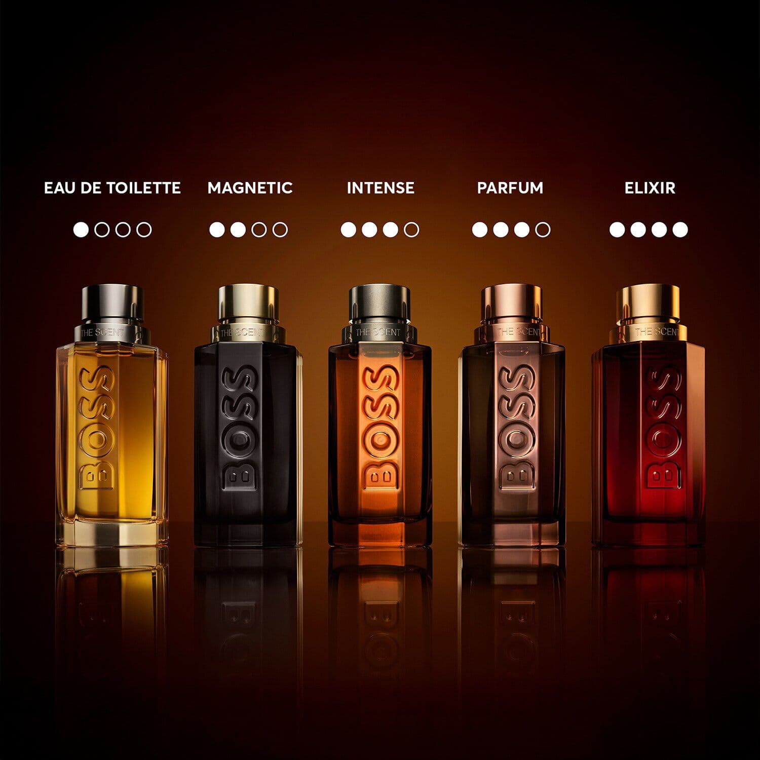 The Scent Magnetic - Eau de Parfum