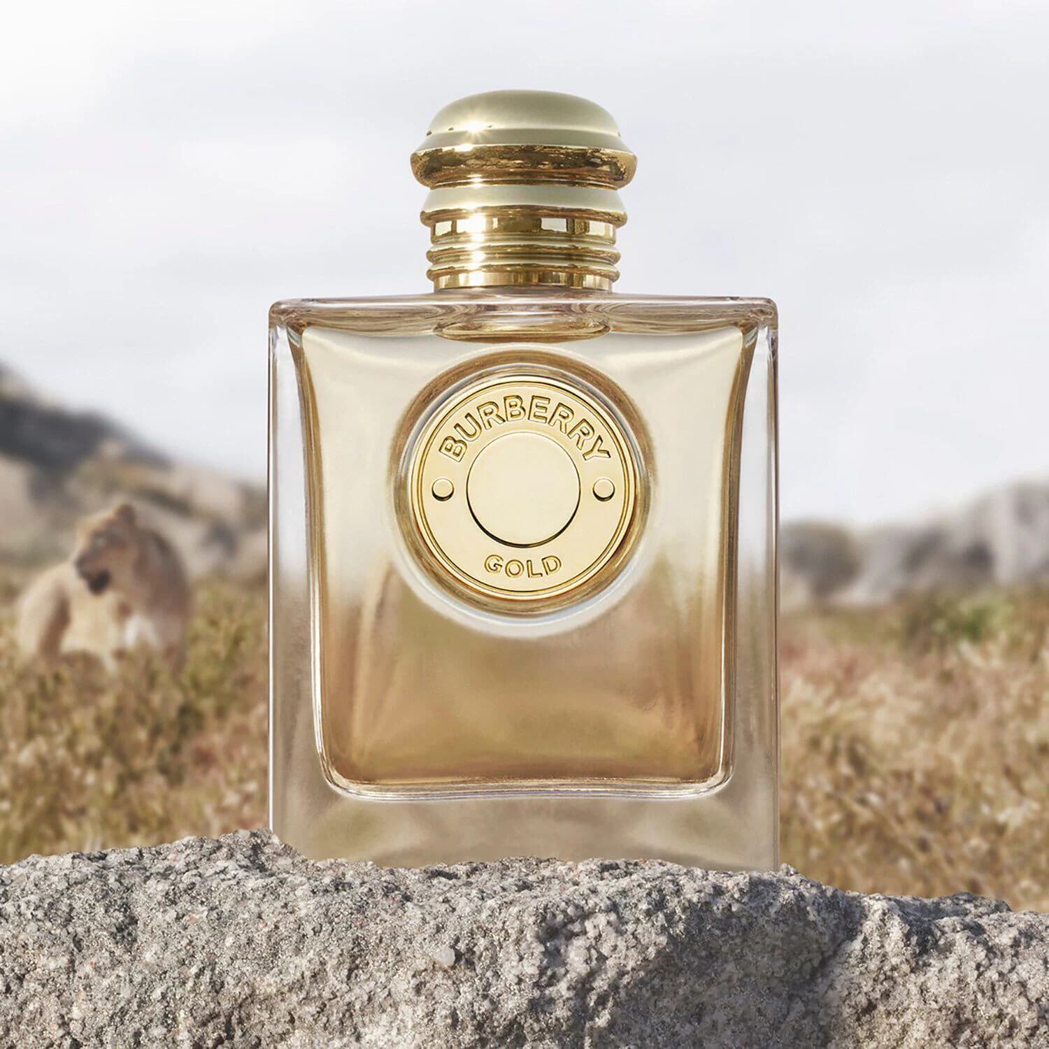 Burberry Gold - Eau de Parfum
