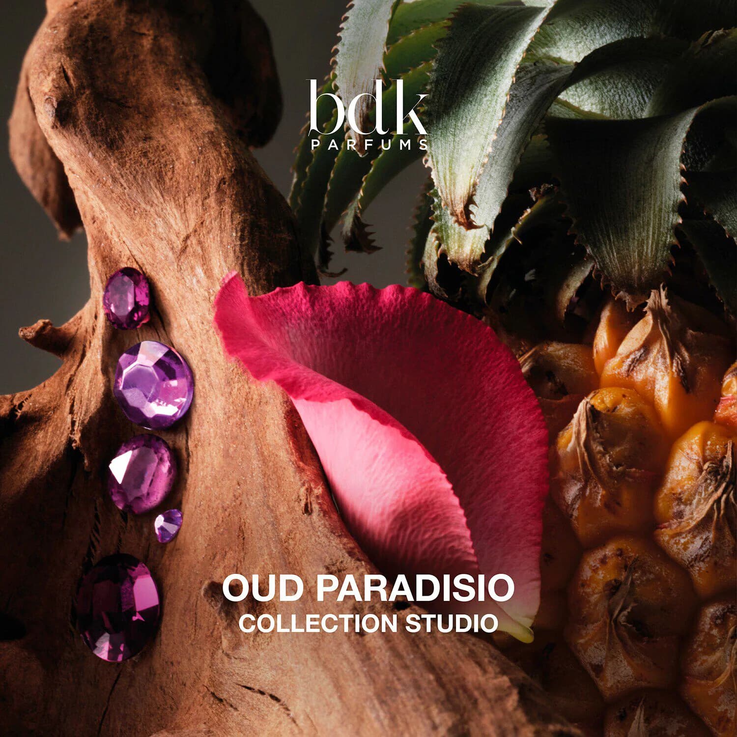 Oud Paradisio - Absolu