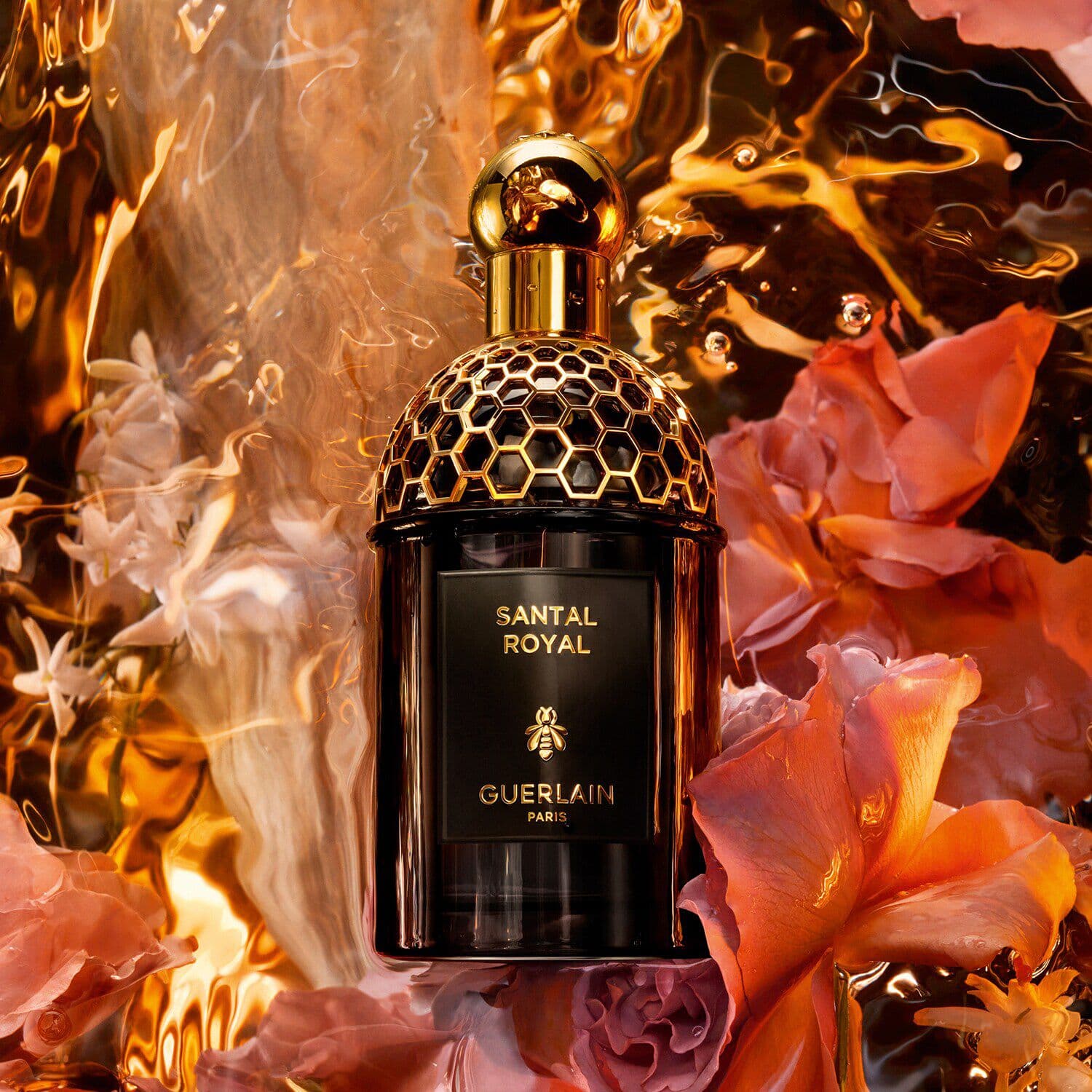 Absolus Allegoria: Santal Royal - Eau de Parfum