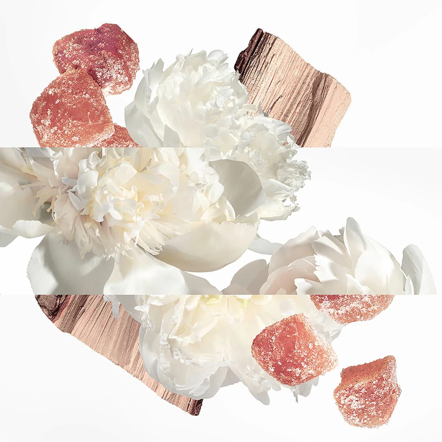 Twilly Eau Ginger Eau de Parfum