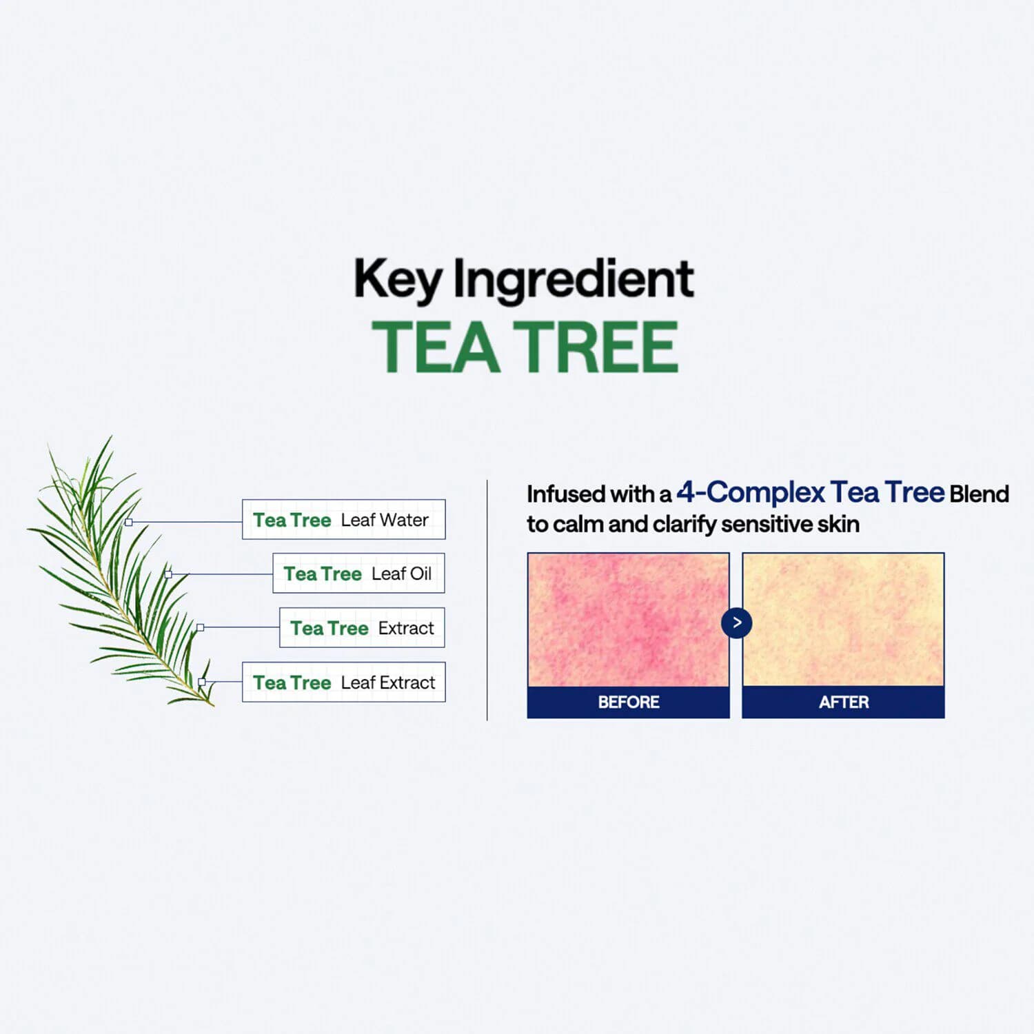 Teatree Serum