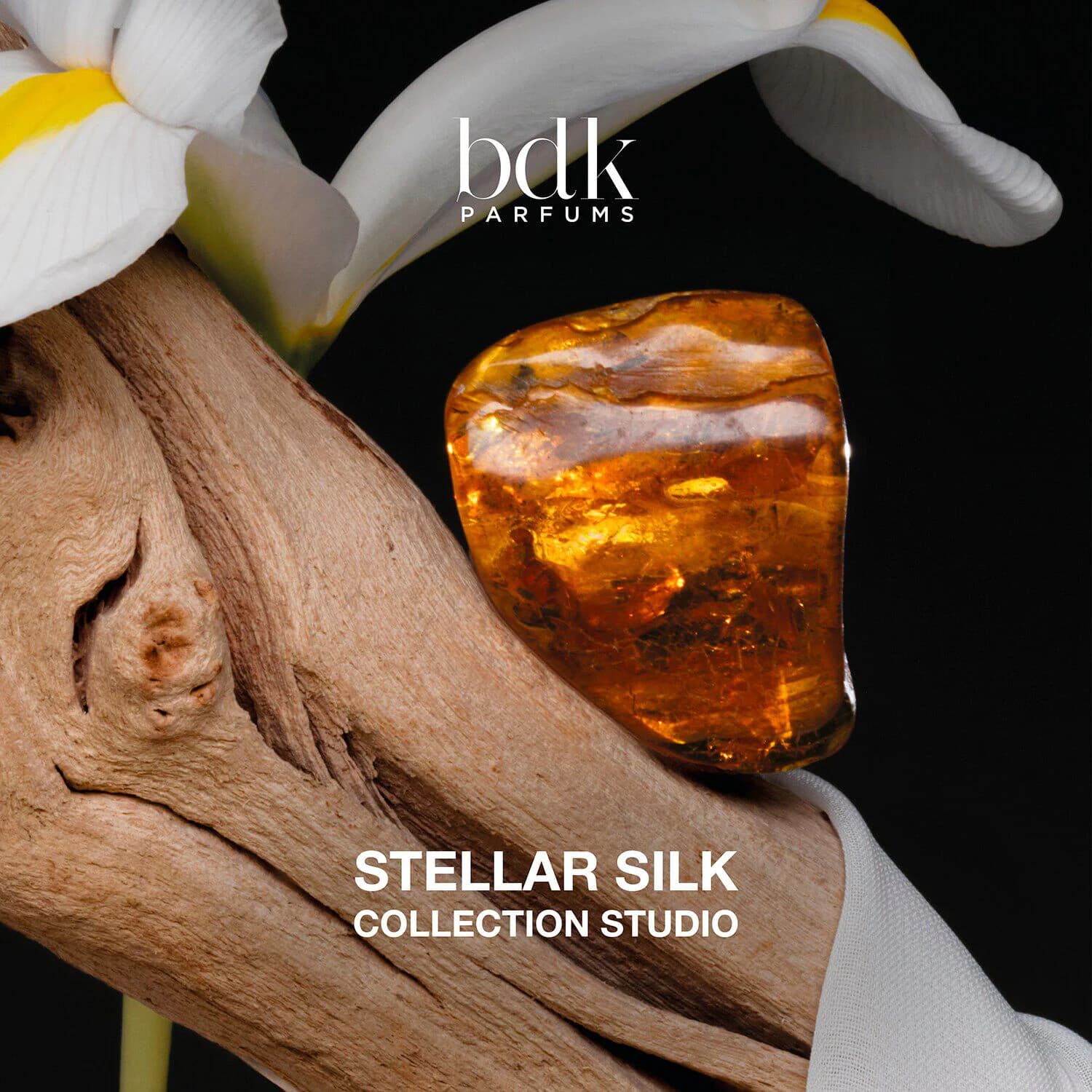 Stellar Silk - Absolu
