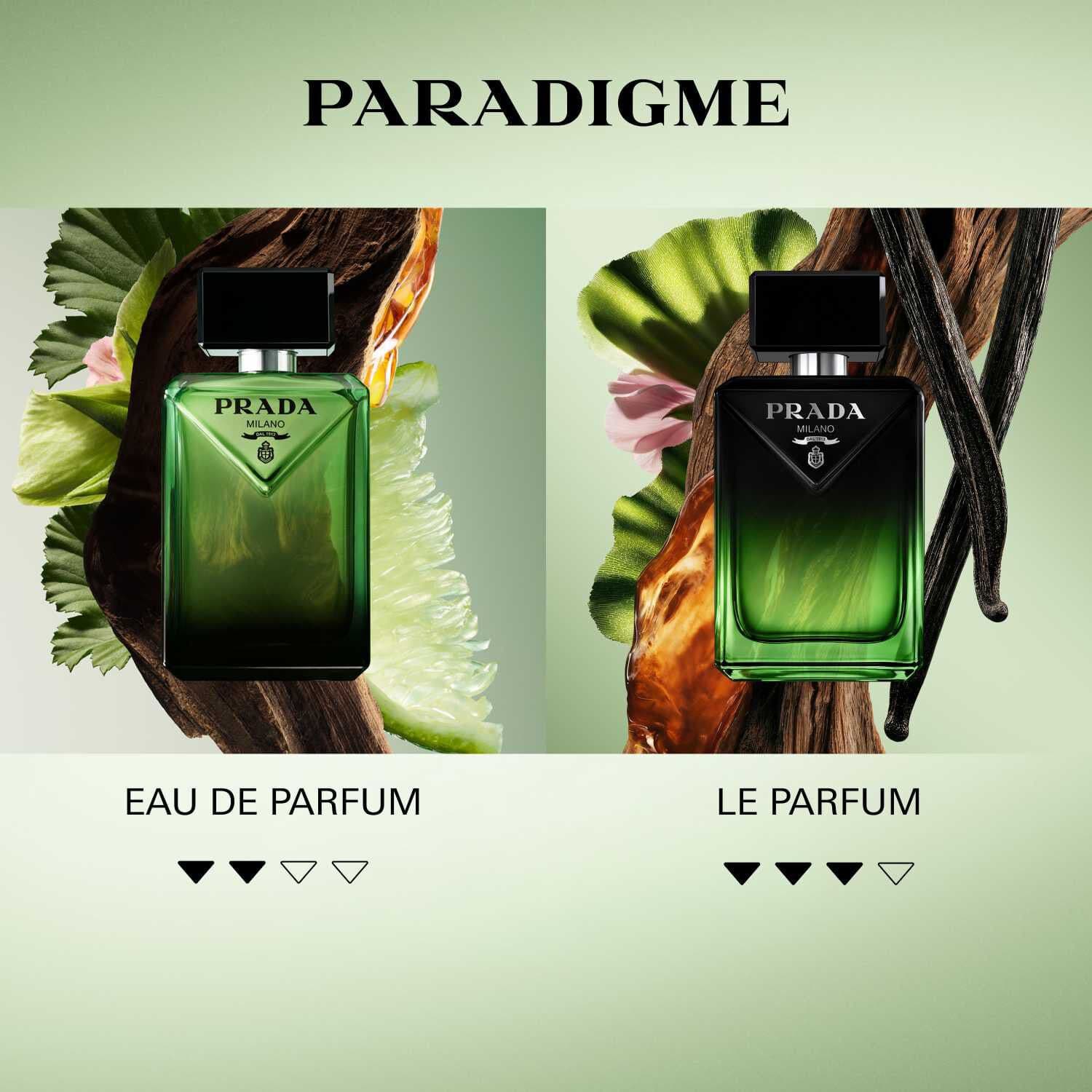 Paradigme Le Parfum