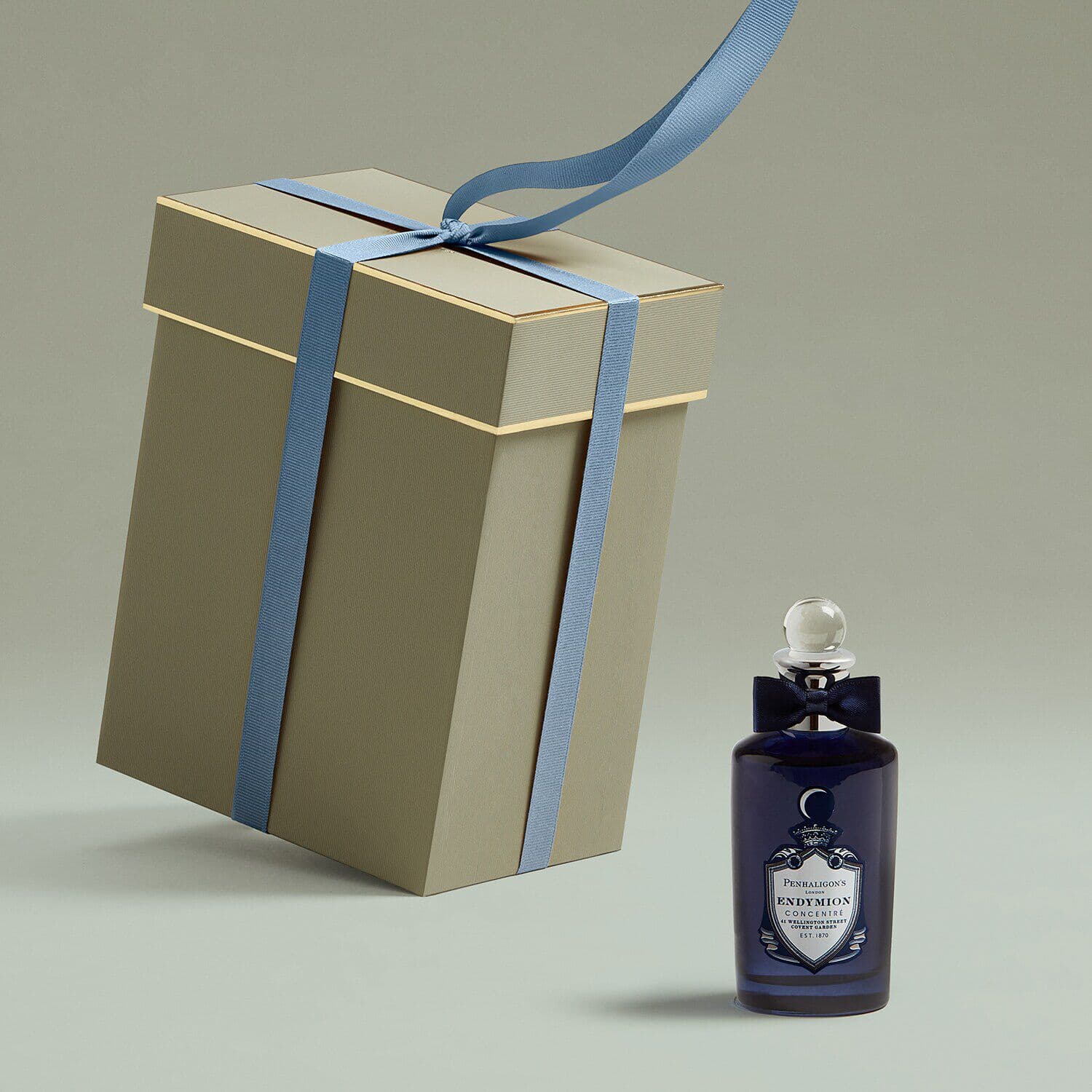 ENDYMION CONCENTR EDP