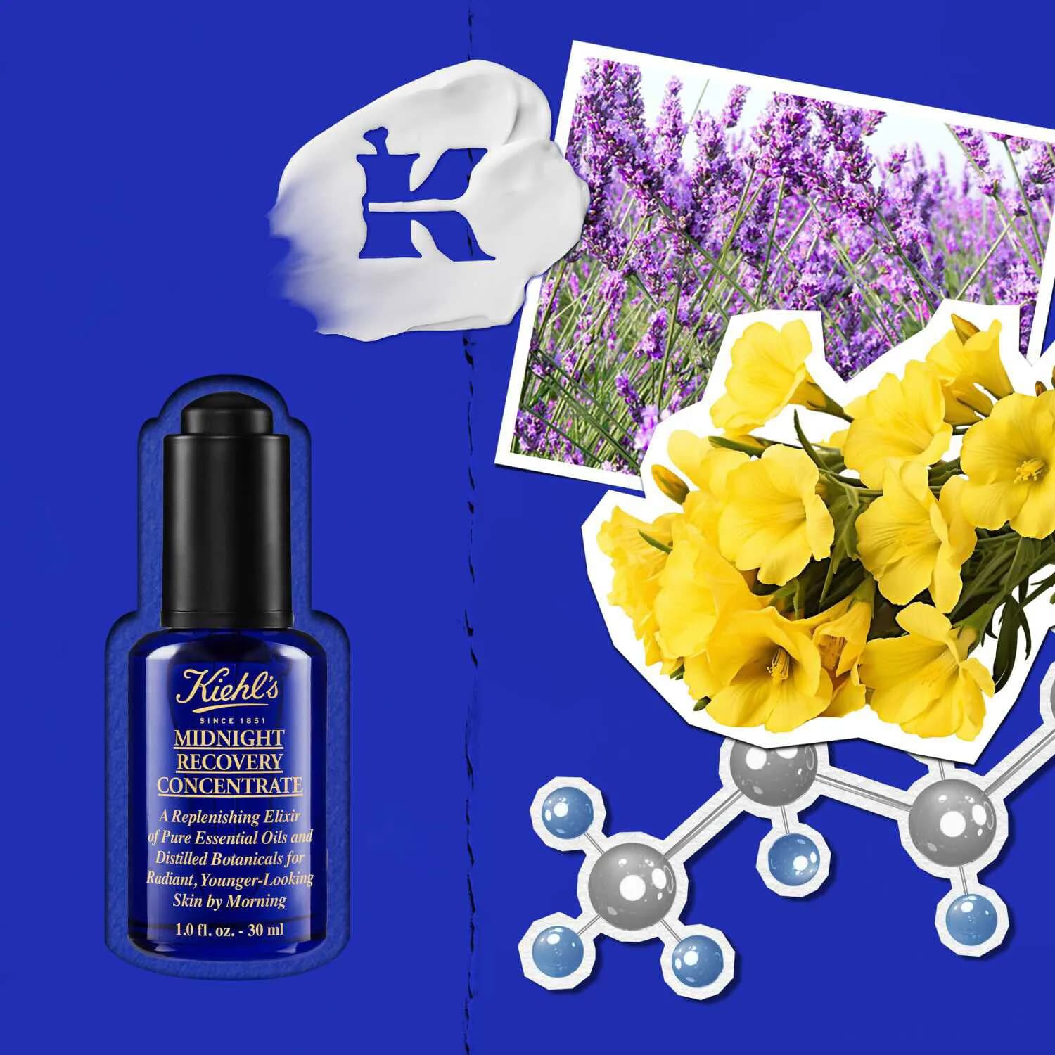Midnight Recovery Concentrate Moisturizing Face Oil
