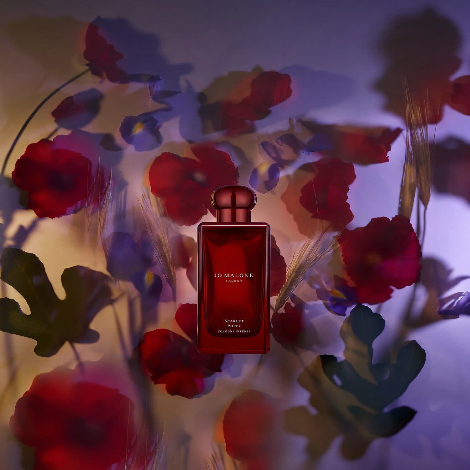 Scarlet Poppy Cologne Intense