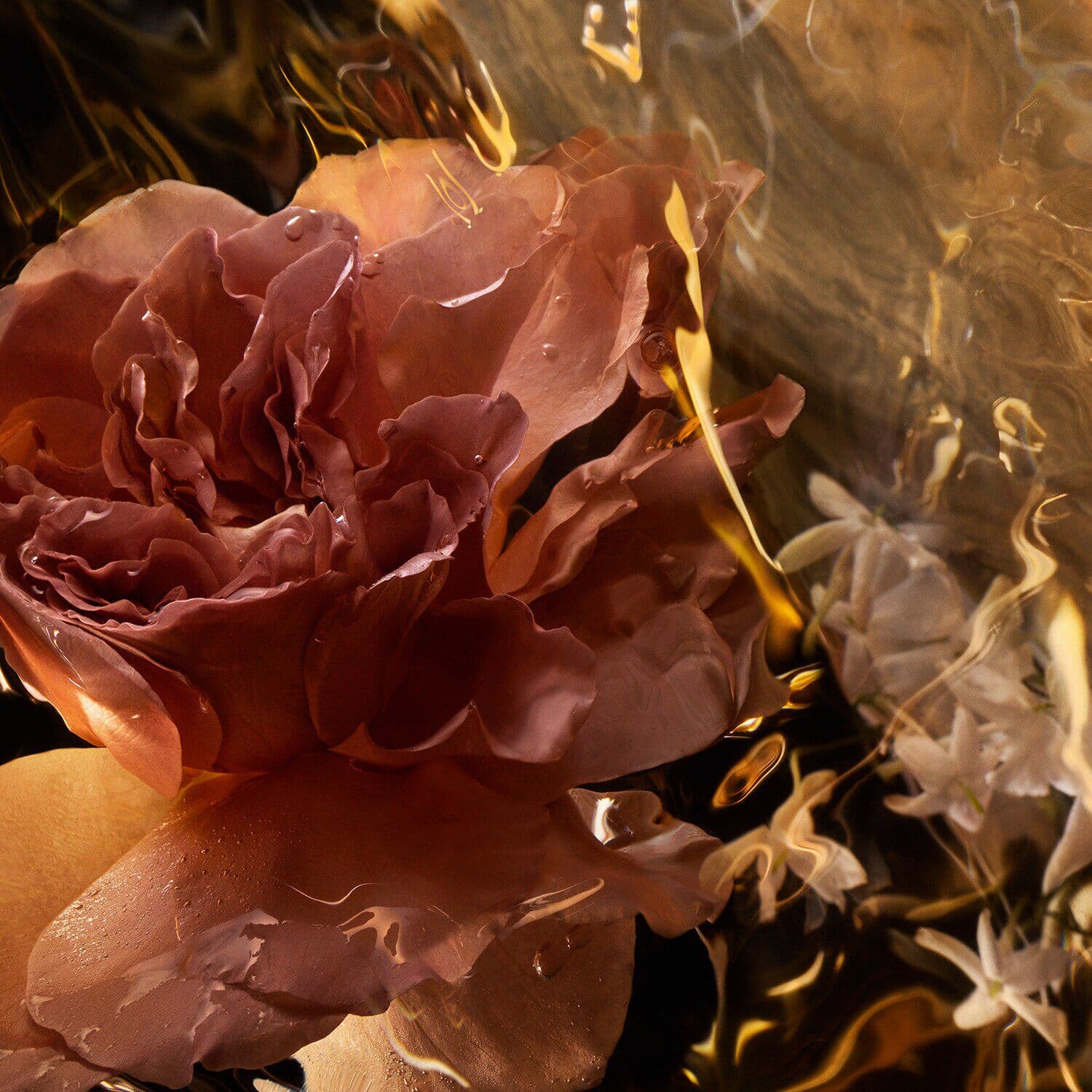 Absolus Allegoria: Santal Royal - Eau de Parfum