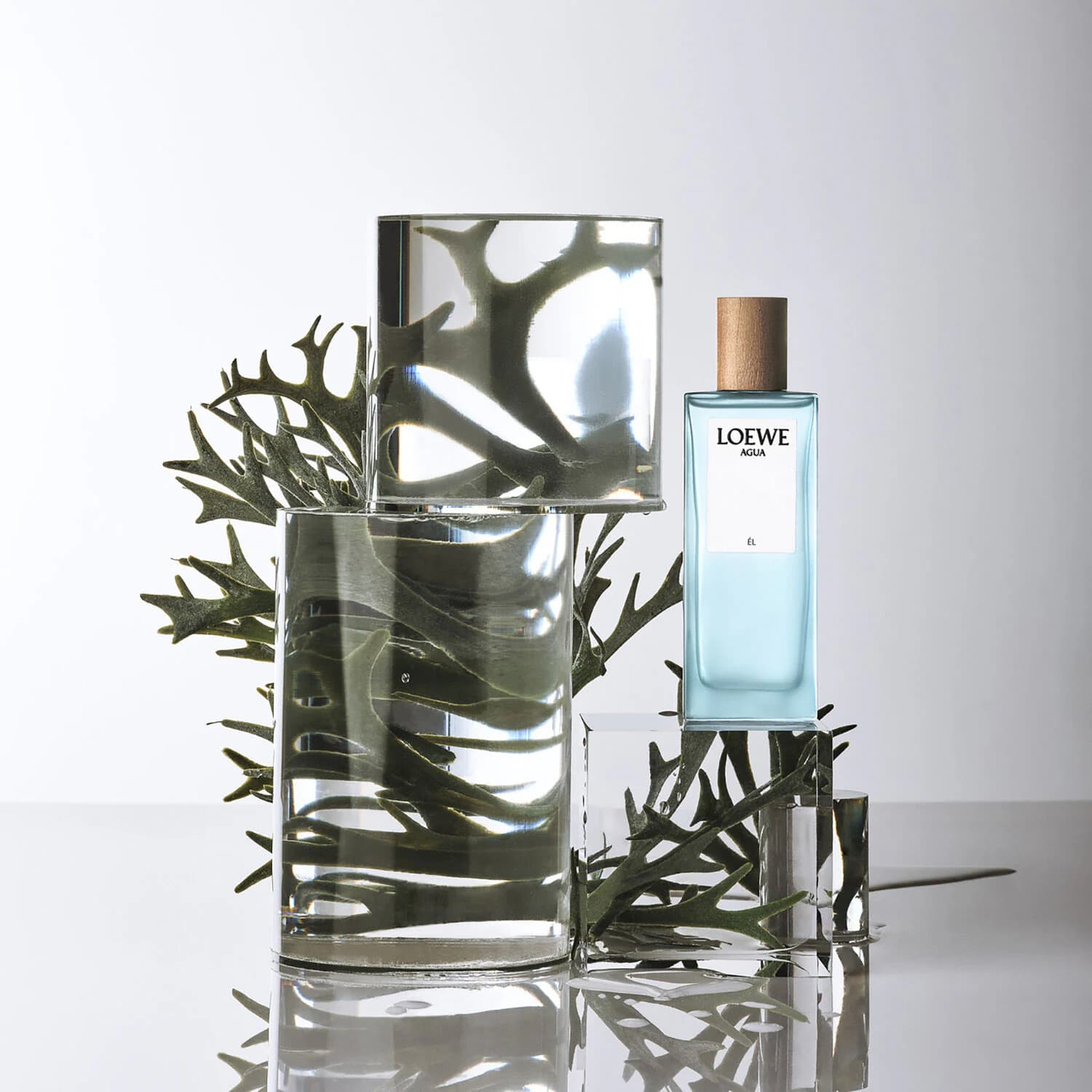 Agua El Eau De Toilette