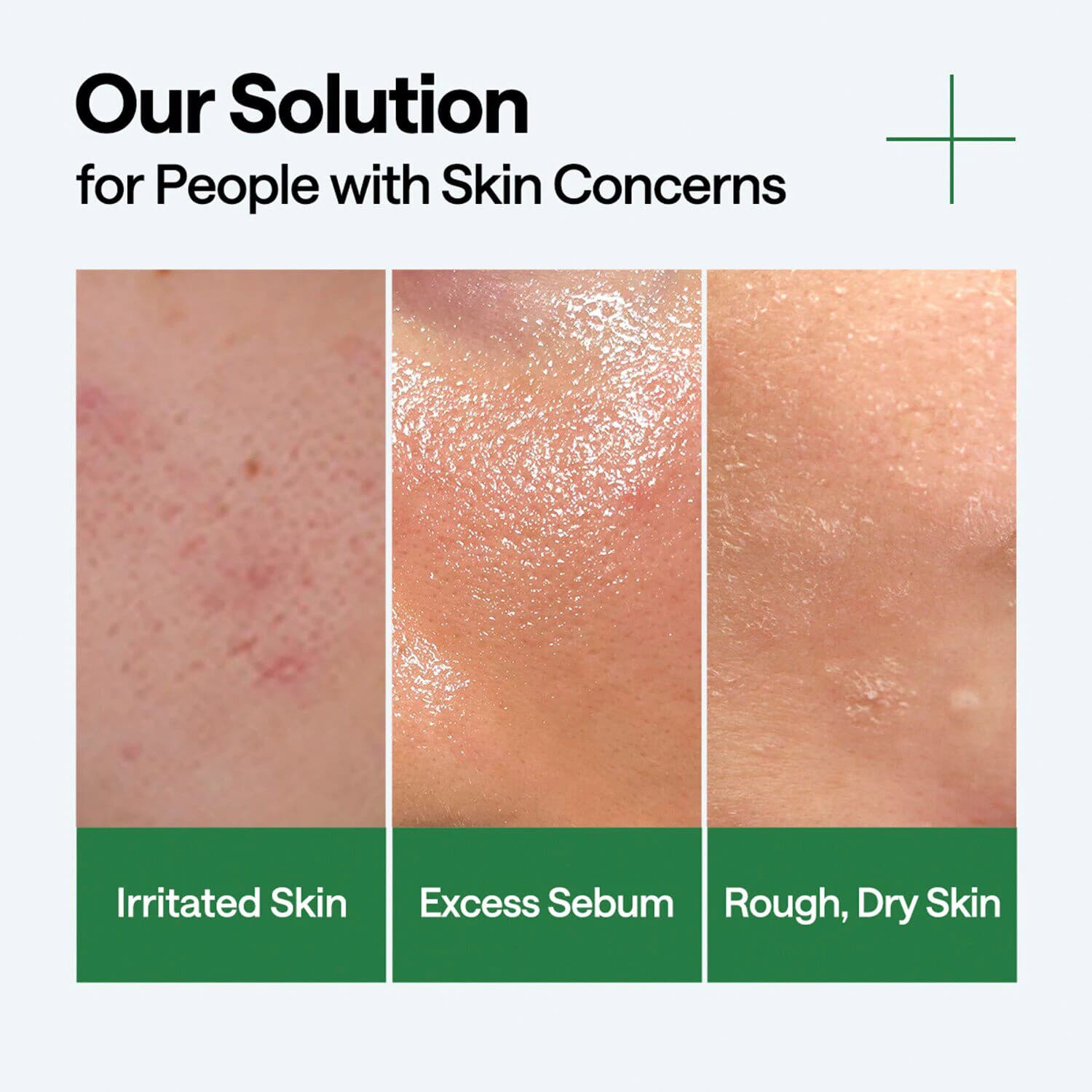 Teatree Serum