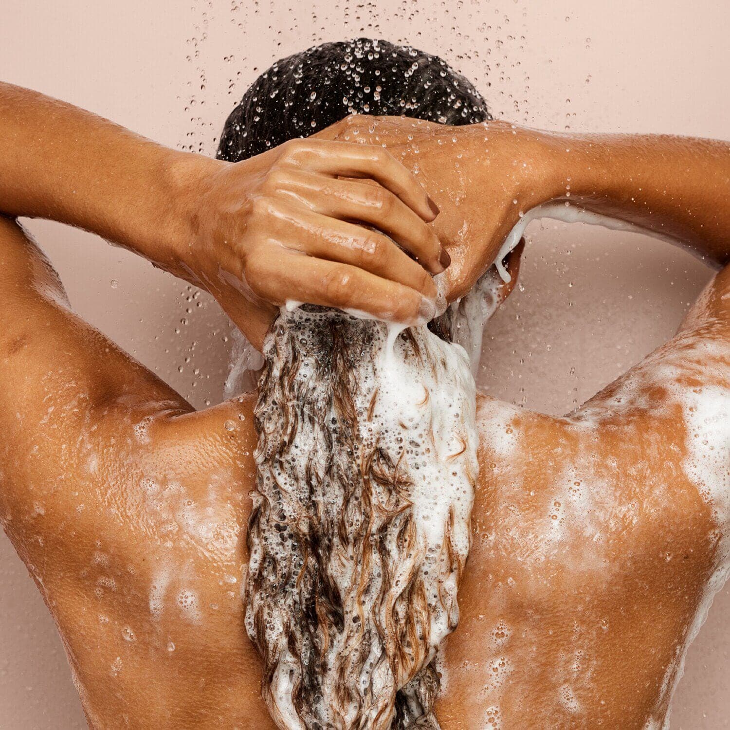 The Rich One Moisture Repair Shampoo