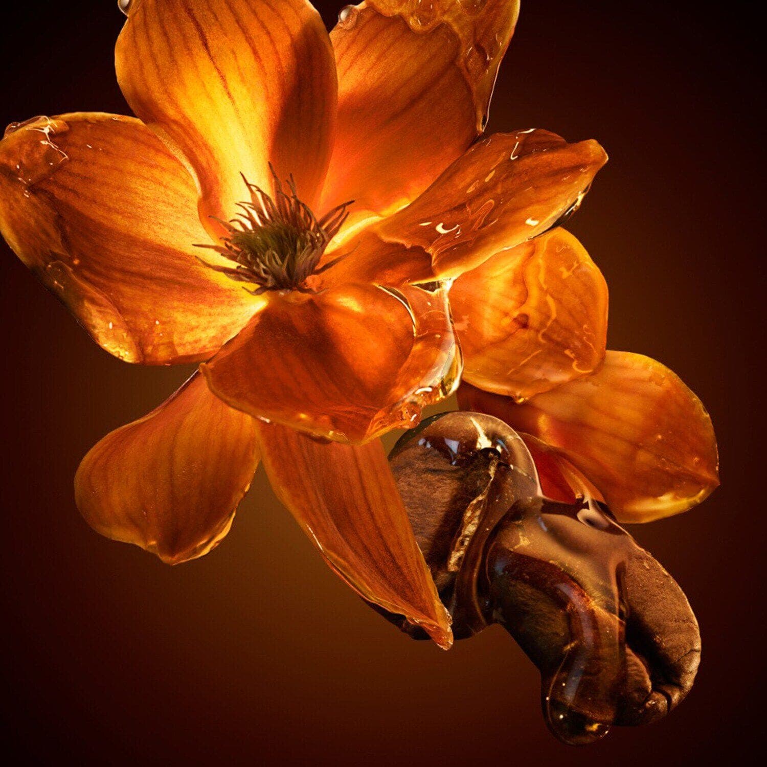 The Scent for Her - Eau de Parfum Intense