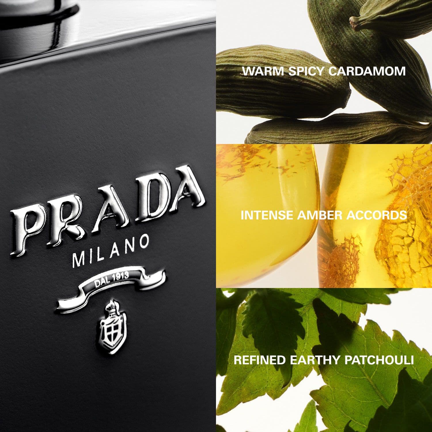 L'Homme Prada Intense