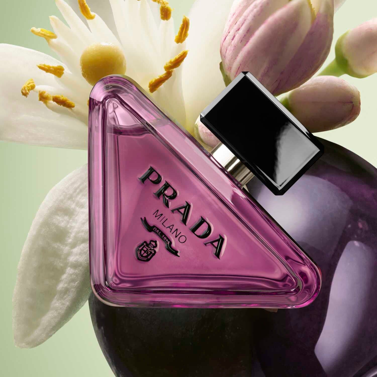Paradoxe Sweet Chemistry