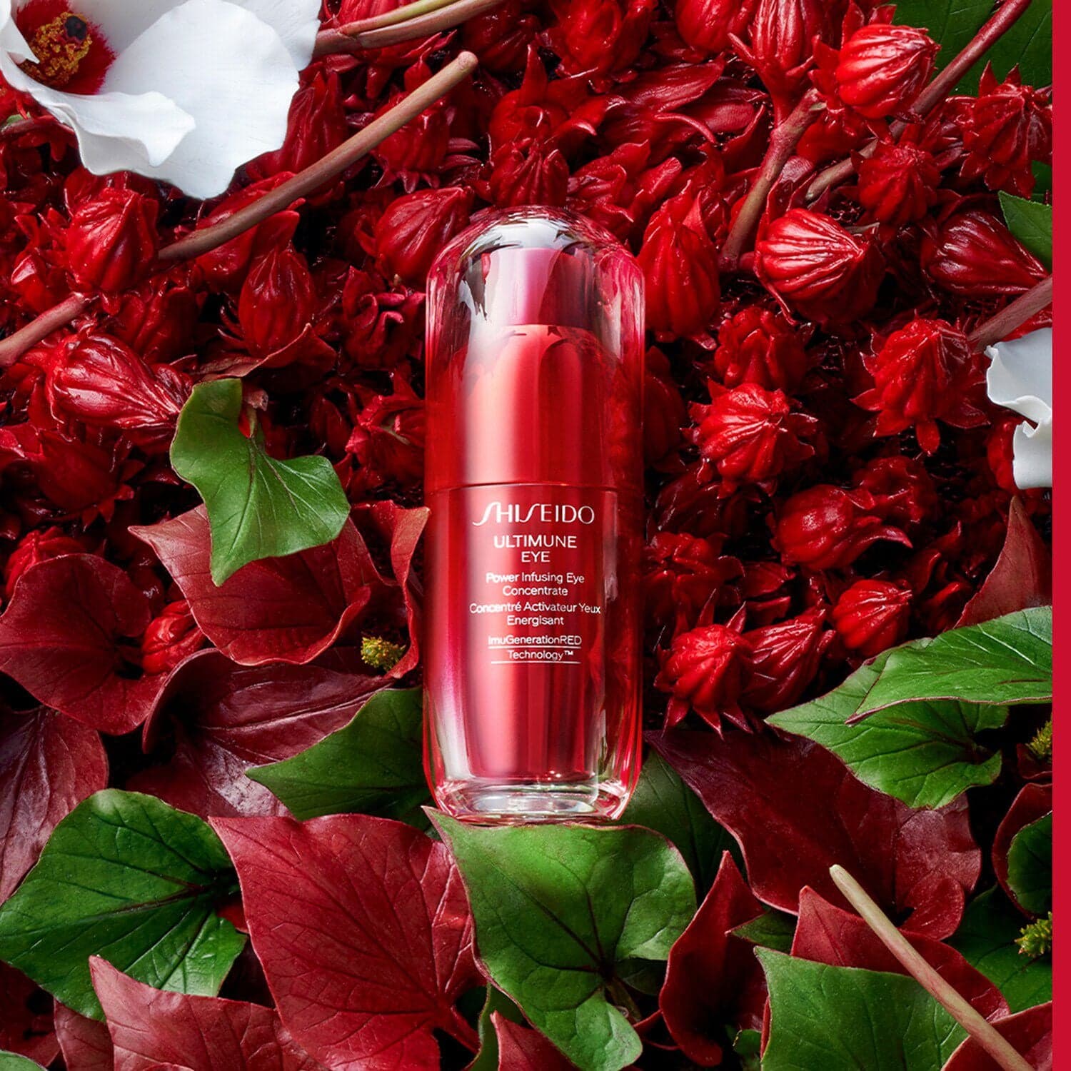 Ultimune Eye Concentrate