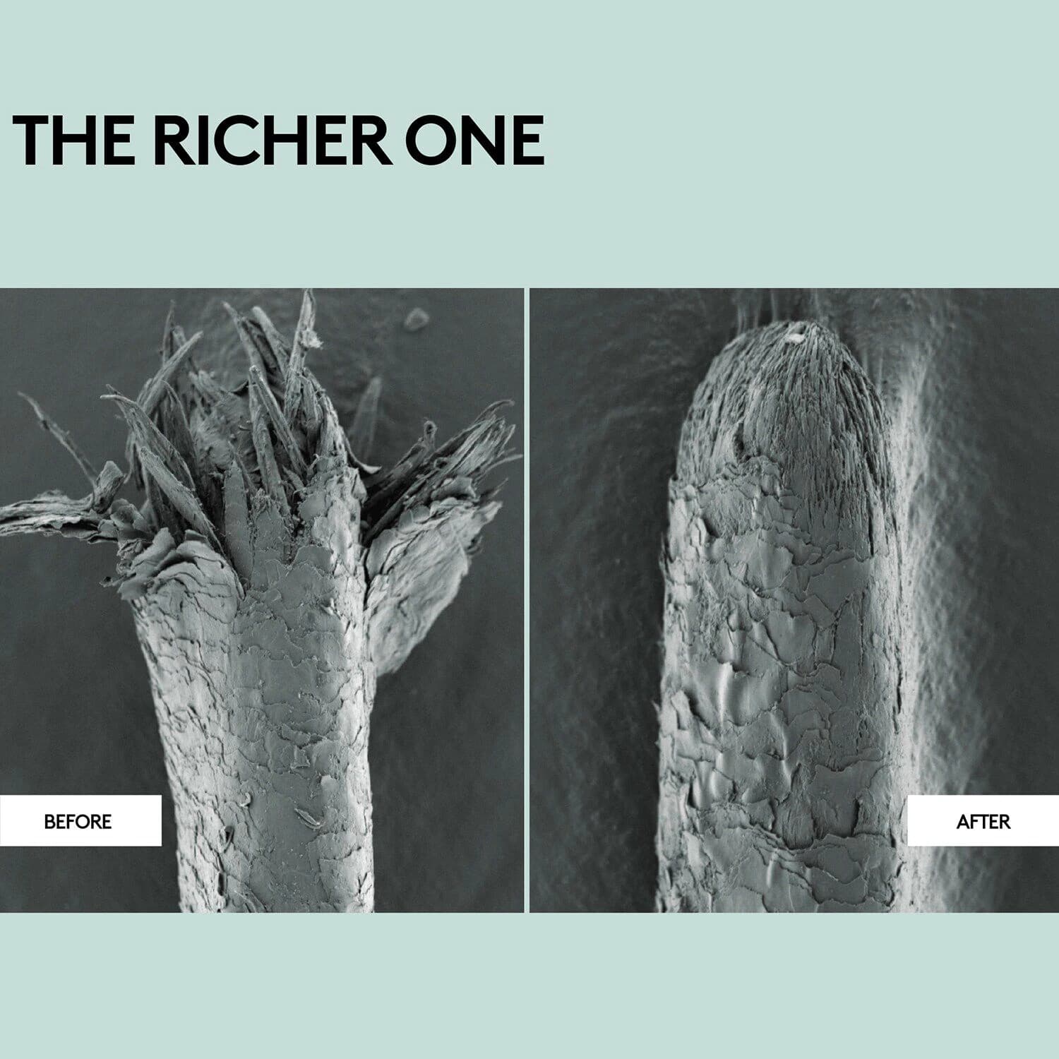 The Richer One Moisture Repair Deep Conditioner