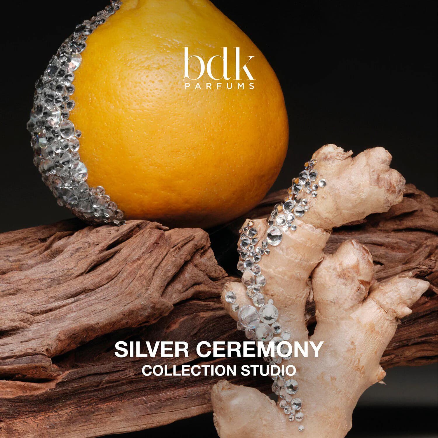 Silver Ceremony - Absolu