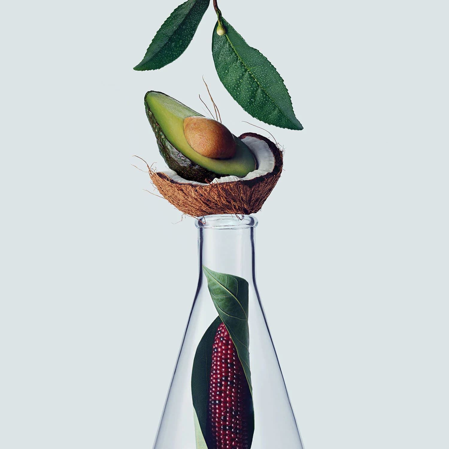 Botanical Repair Strengthening Leave-In Treatment