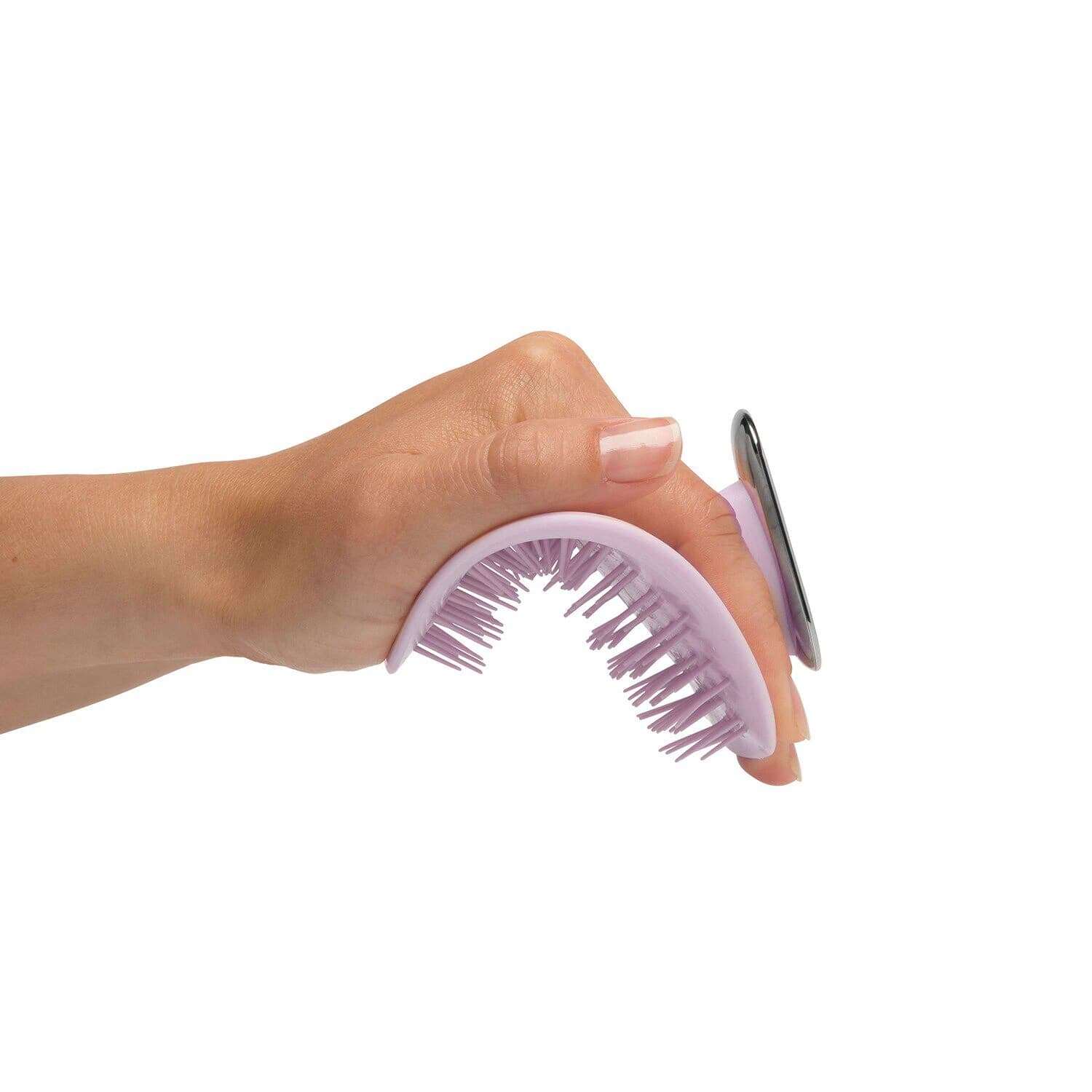 Flourish Manta Brush