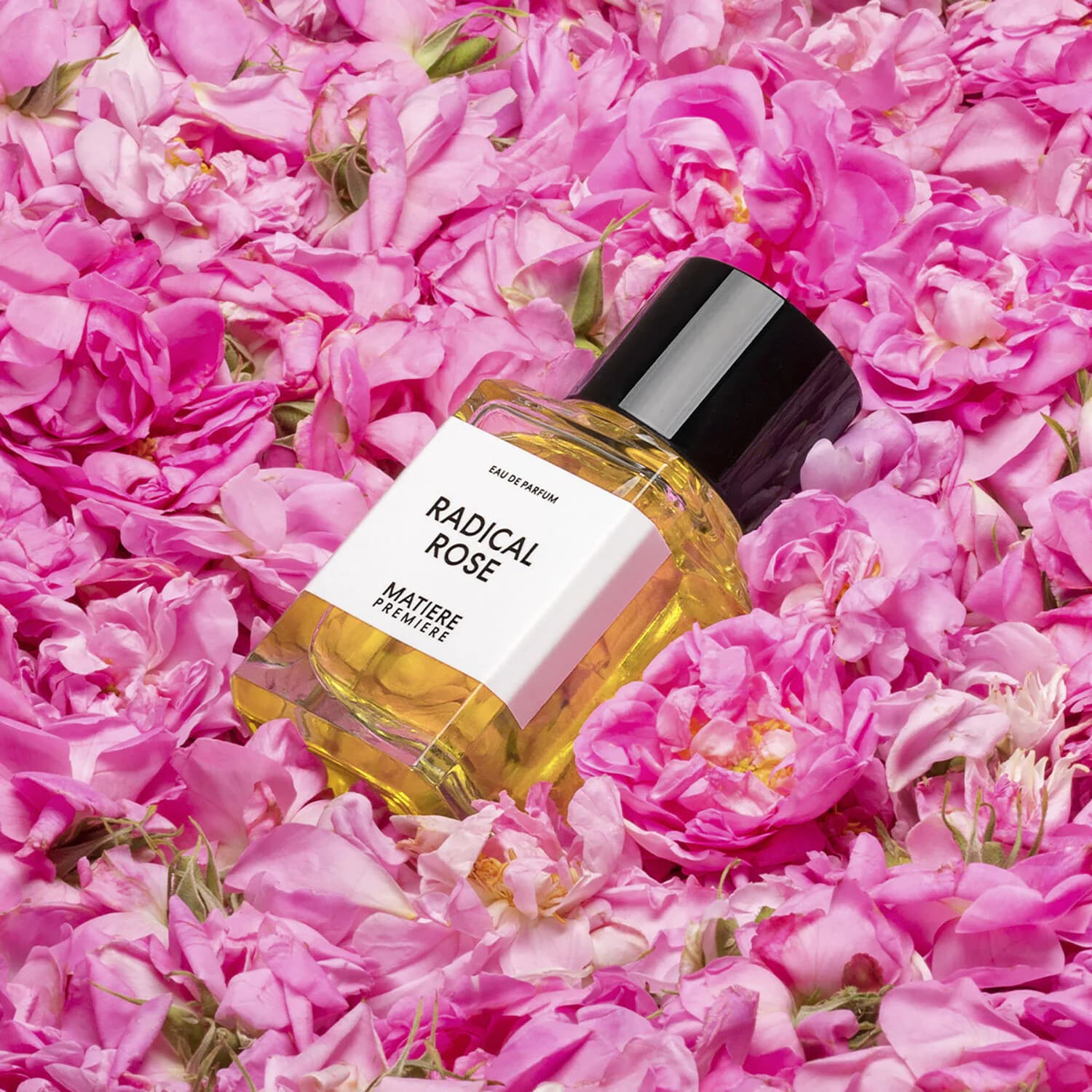 Radical Rose