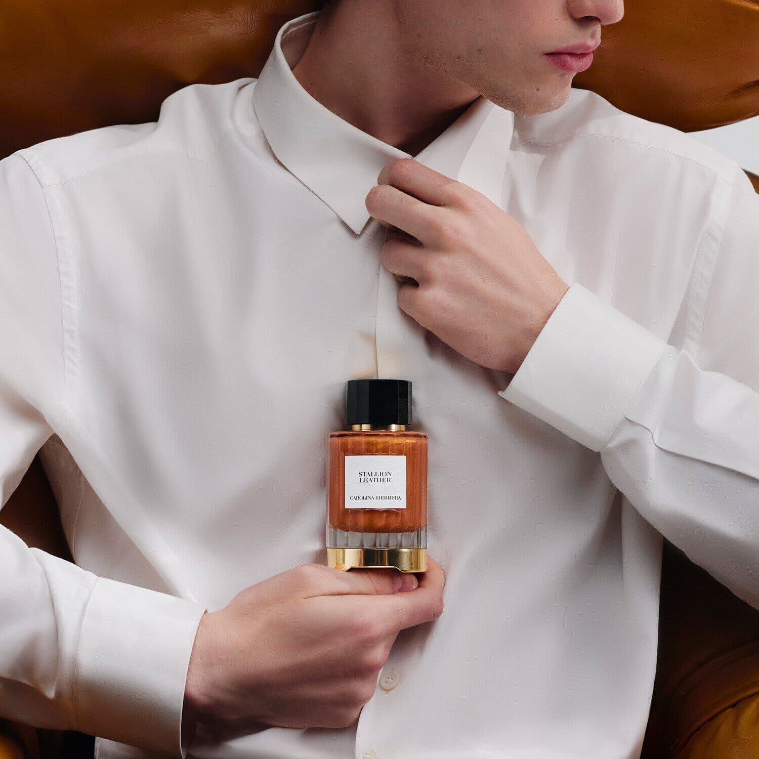 Stallion Leather - Eau de Parfum
