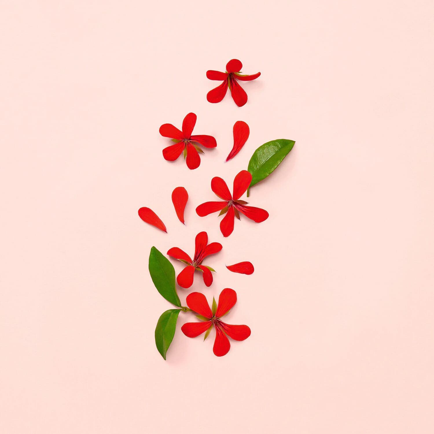 Bloom - Eau de Parfum
