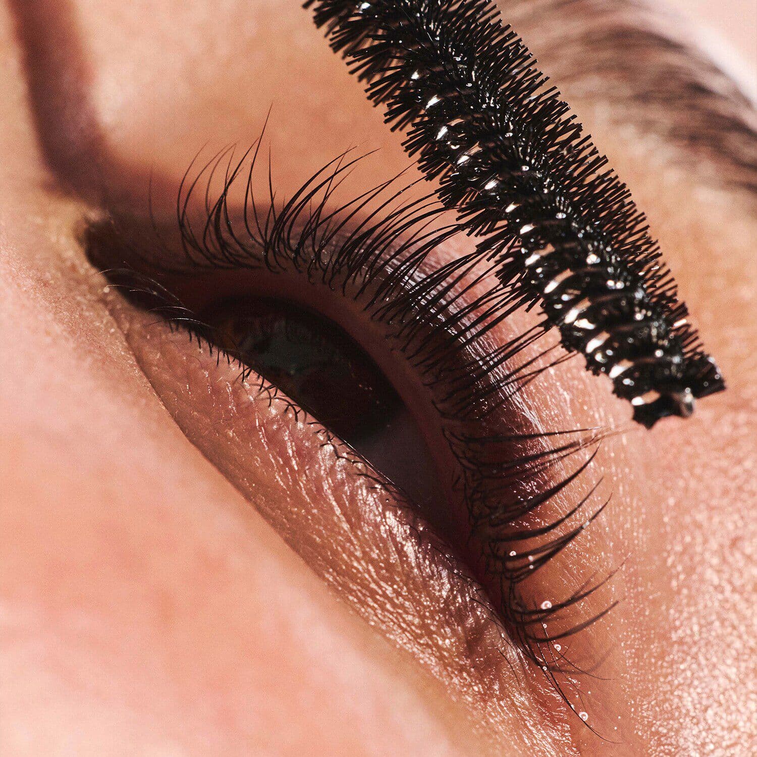 Luscious Lash Oil
