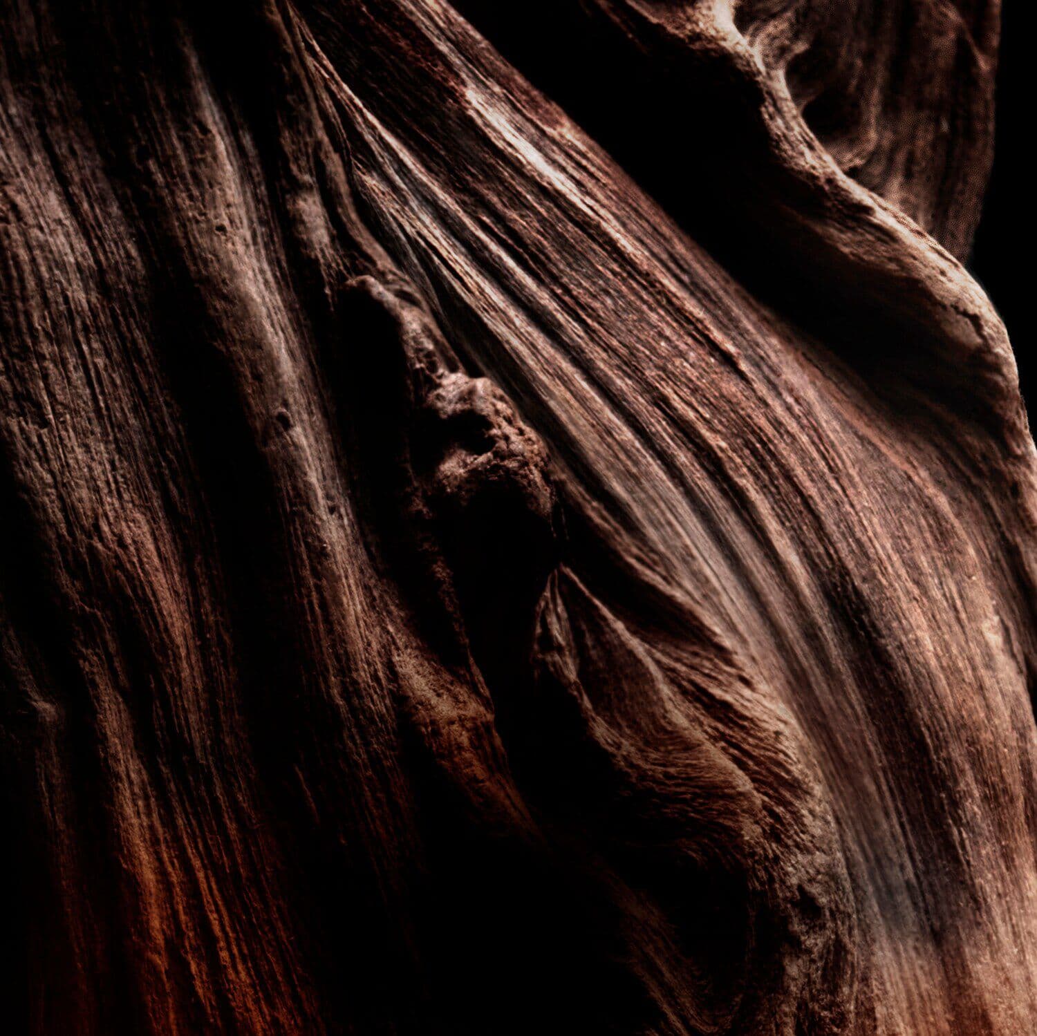 Absolus Allegoria: Oud Essentiel - Eau de Parfum