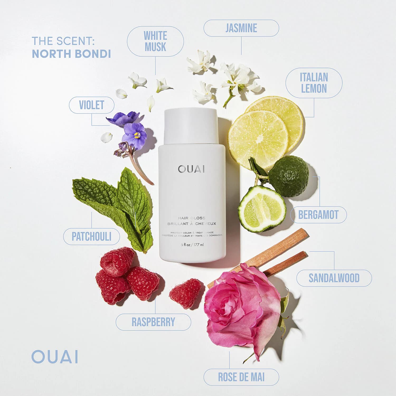Hair Gloss Protect Color & Treat Damage