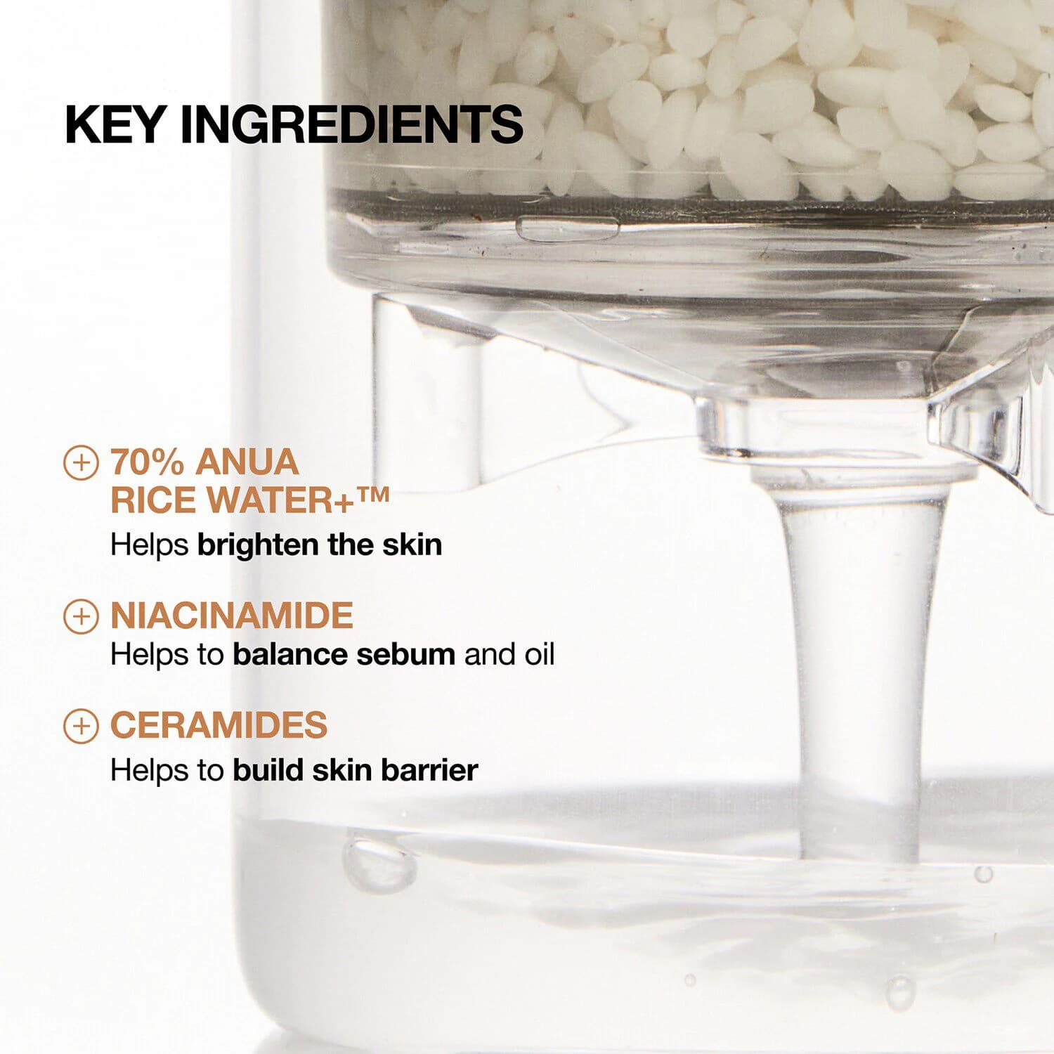 Rice 70 Glow Milky Toner