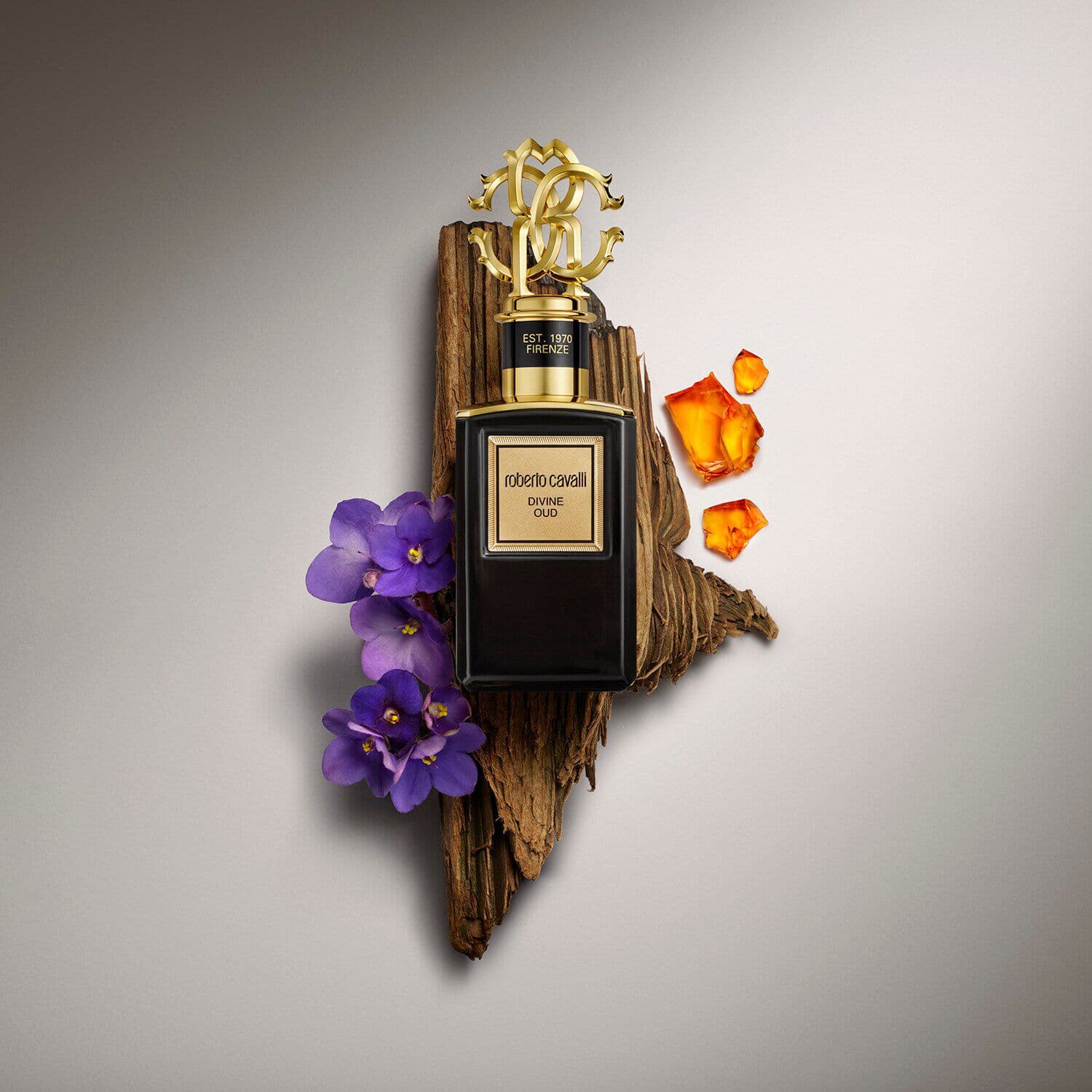 Gold Collection Divine Oud Eau de Parfum