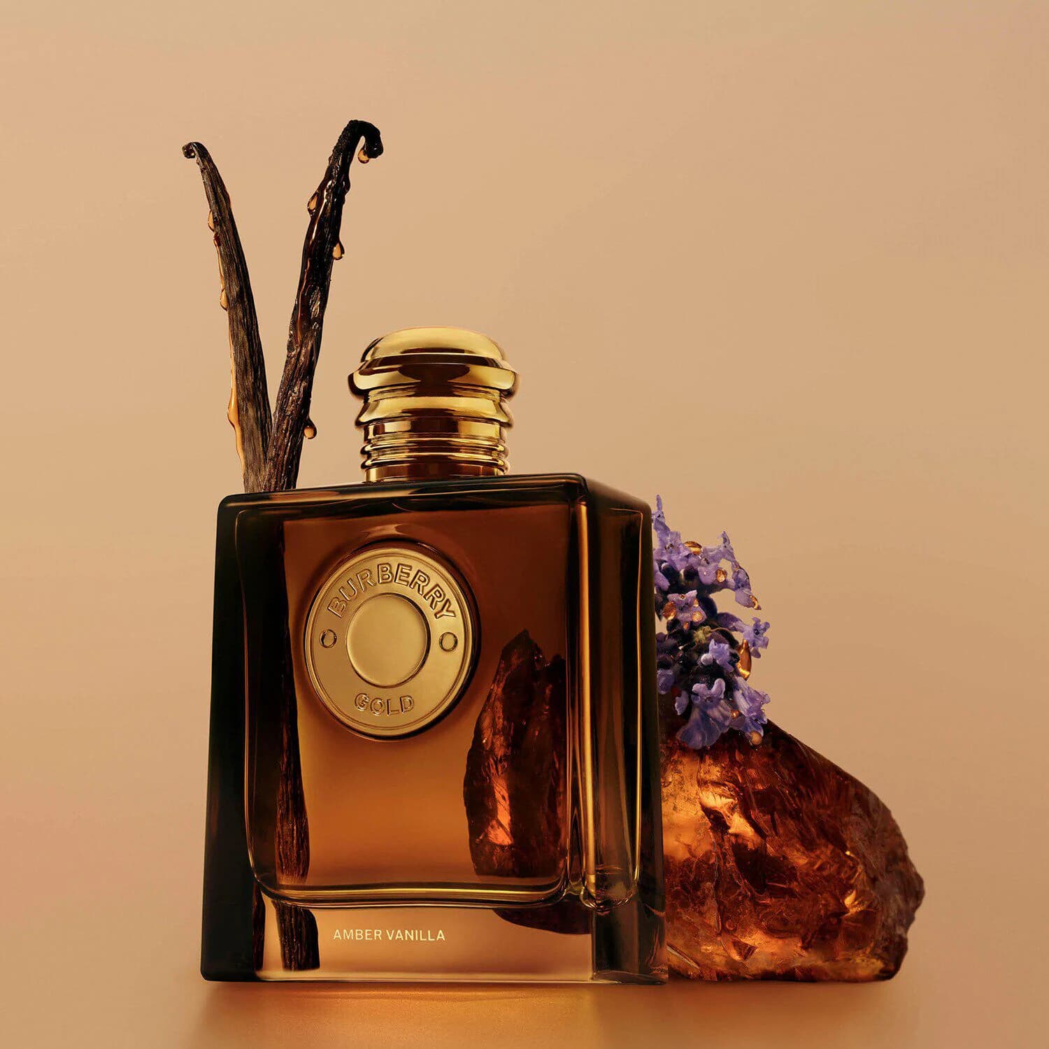 Gold Amber Vanilla - Eau de Parfum Intense for Women