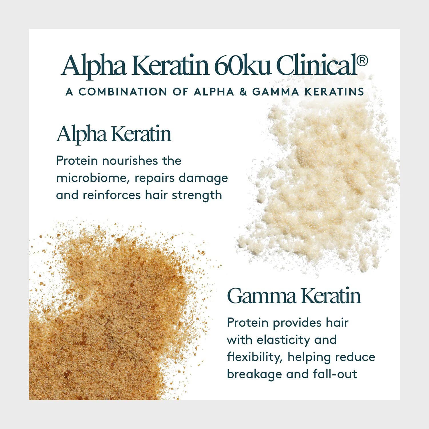 Repair & Shine Duo