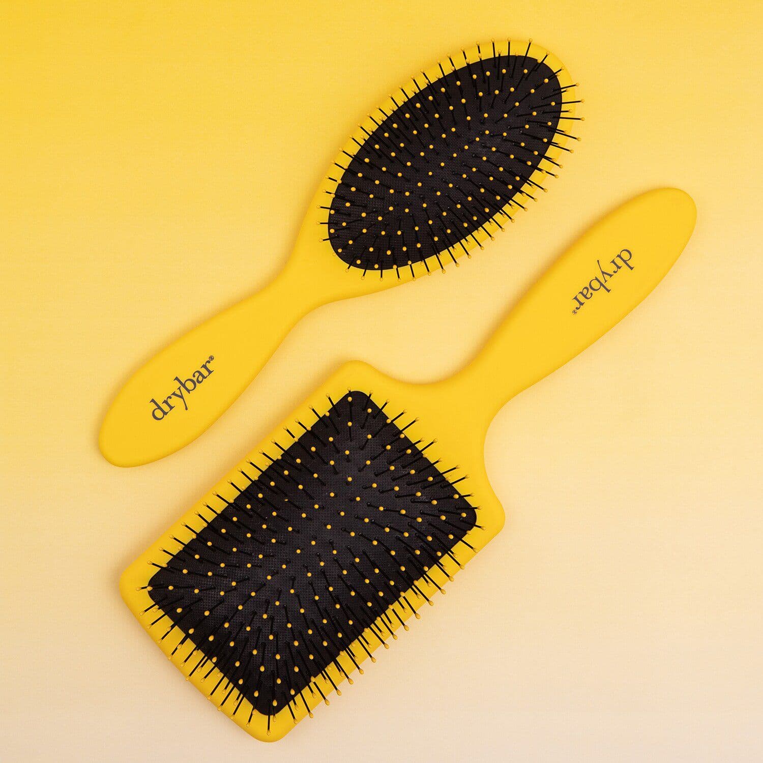 The Lemon Bar Paddle Brush