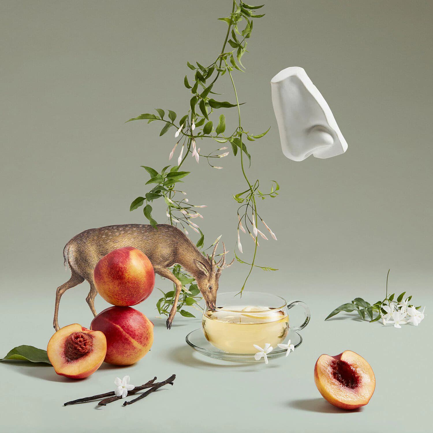 The Bewitching Yasmine - Eau de Parfum