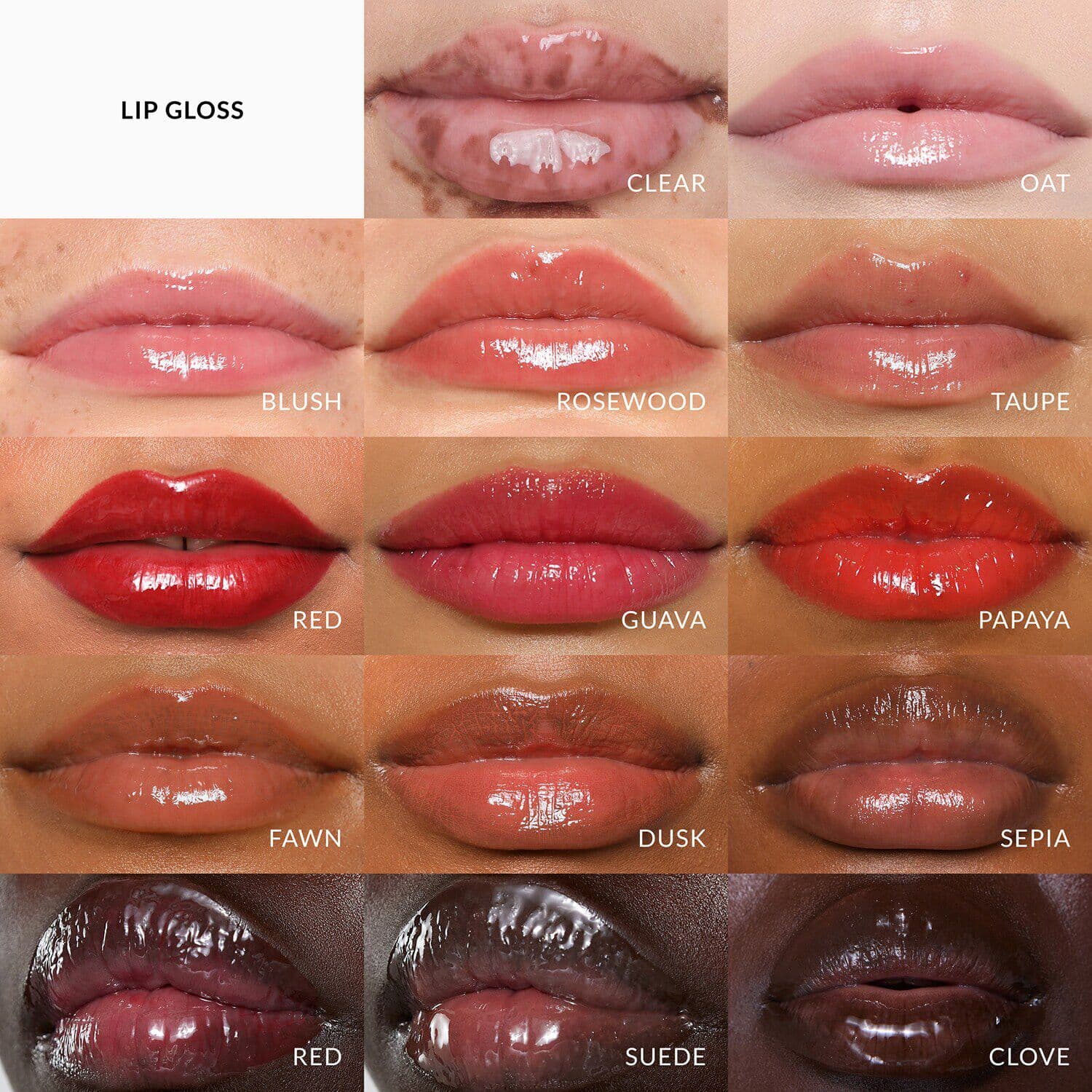 Tinted Lip Gloss
