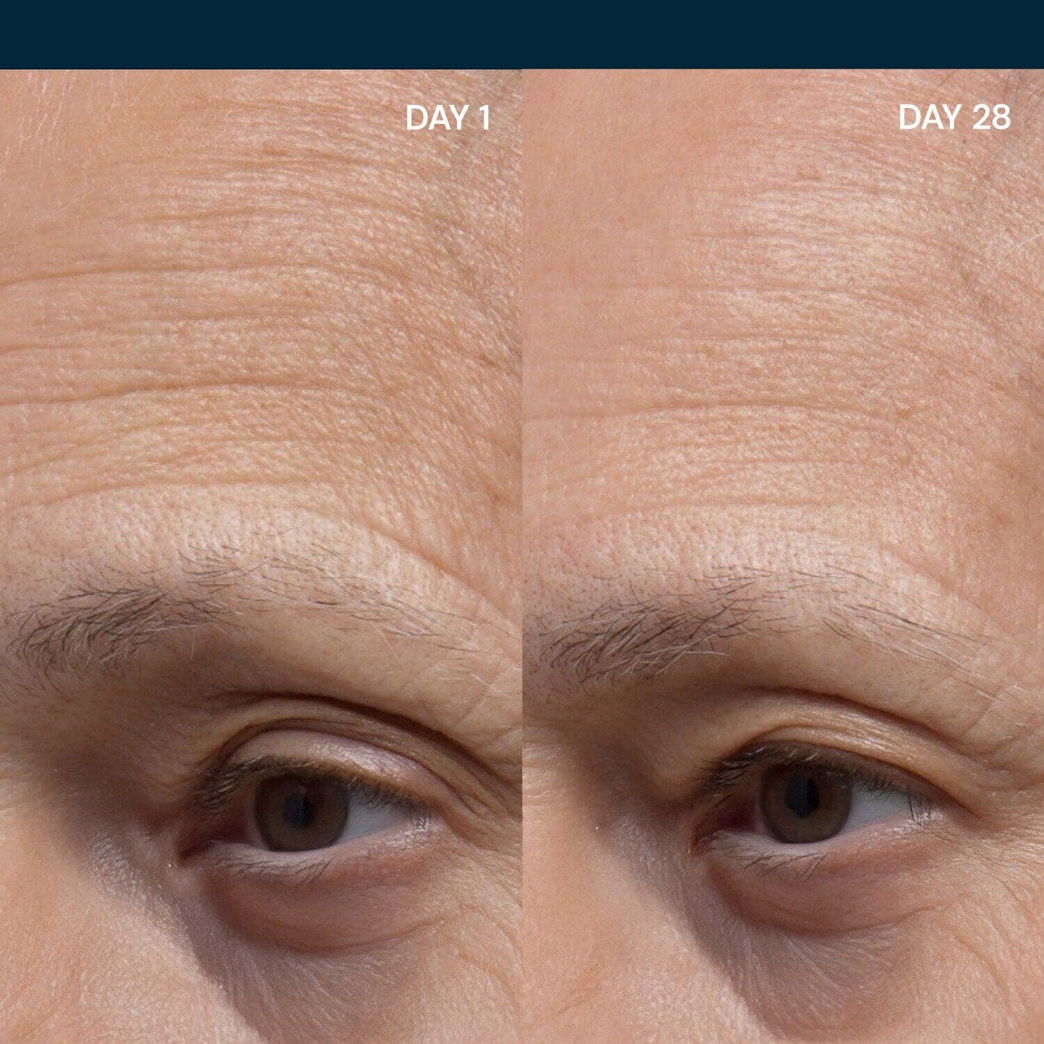 Pro-Collagen Night Cream - Nourishing Overnight Treatment
