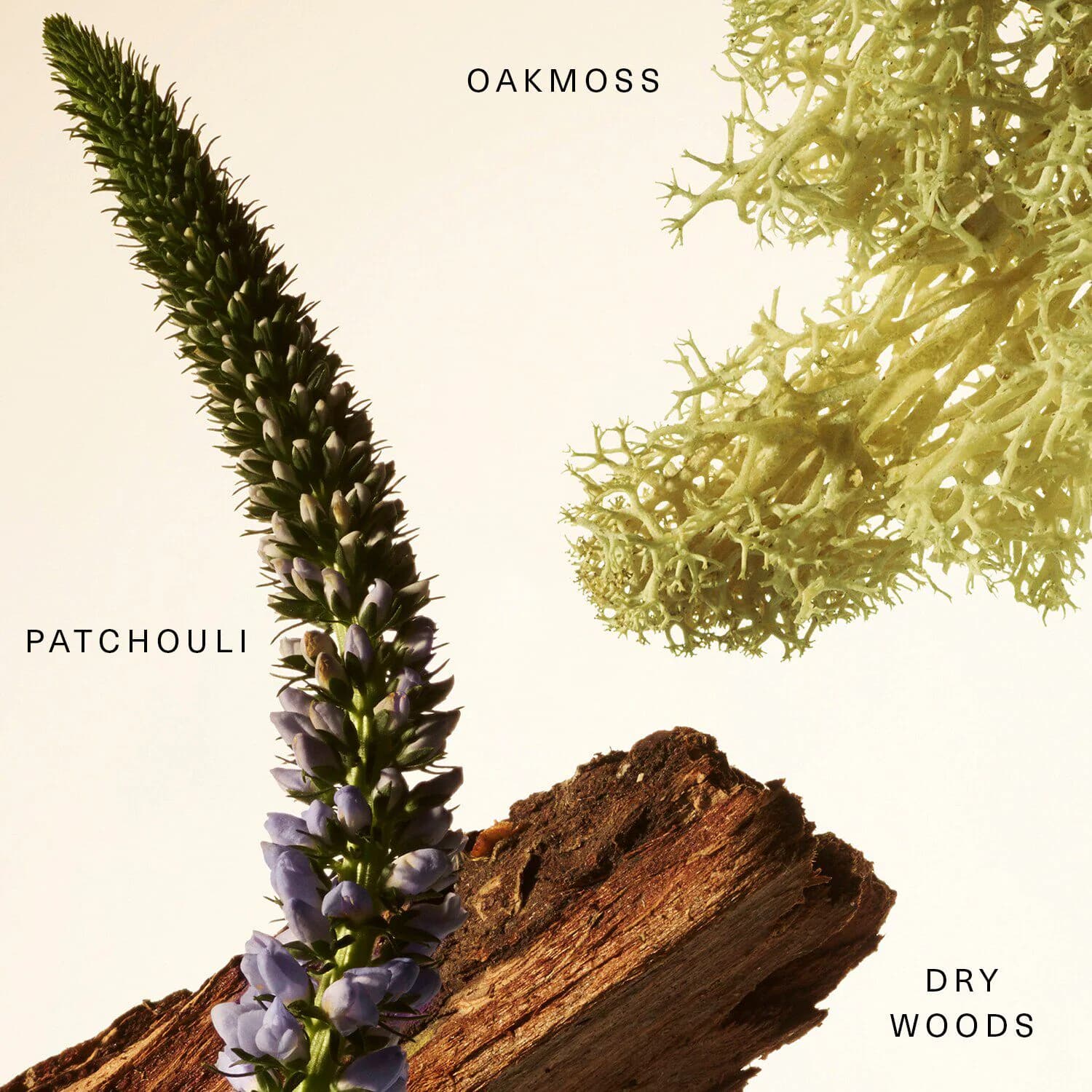 Rare Fragrance Layering Balm Woody Oak