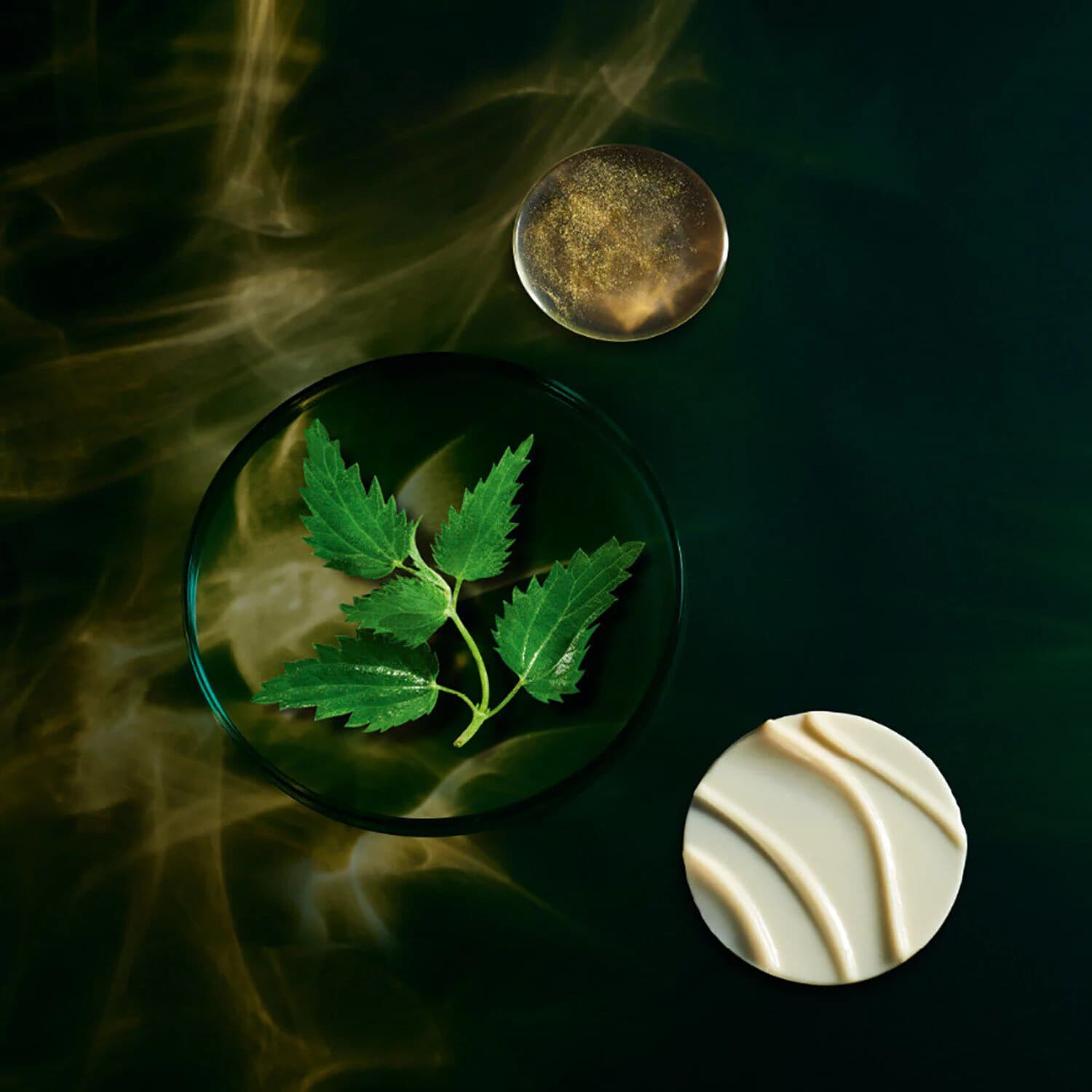FUTURE SOLUTION LX INFINITE TREATMENT PRIMER