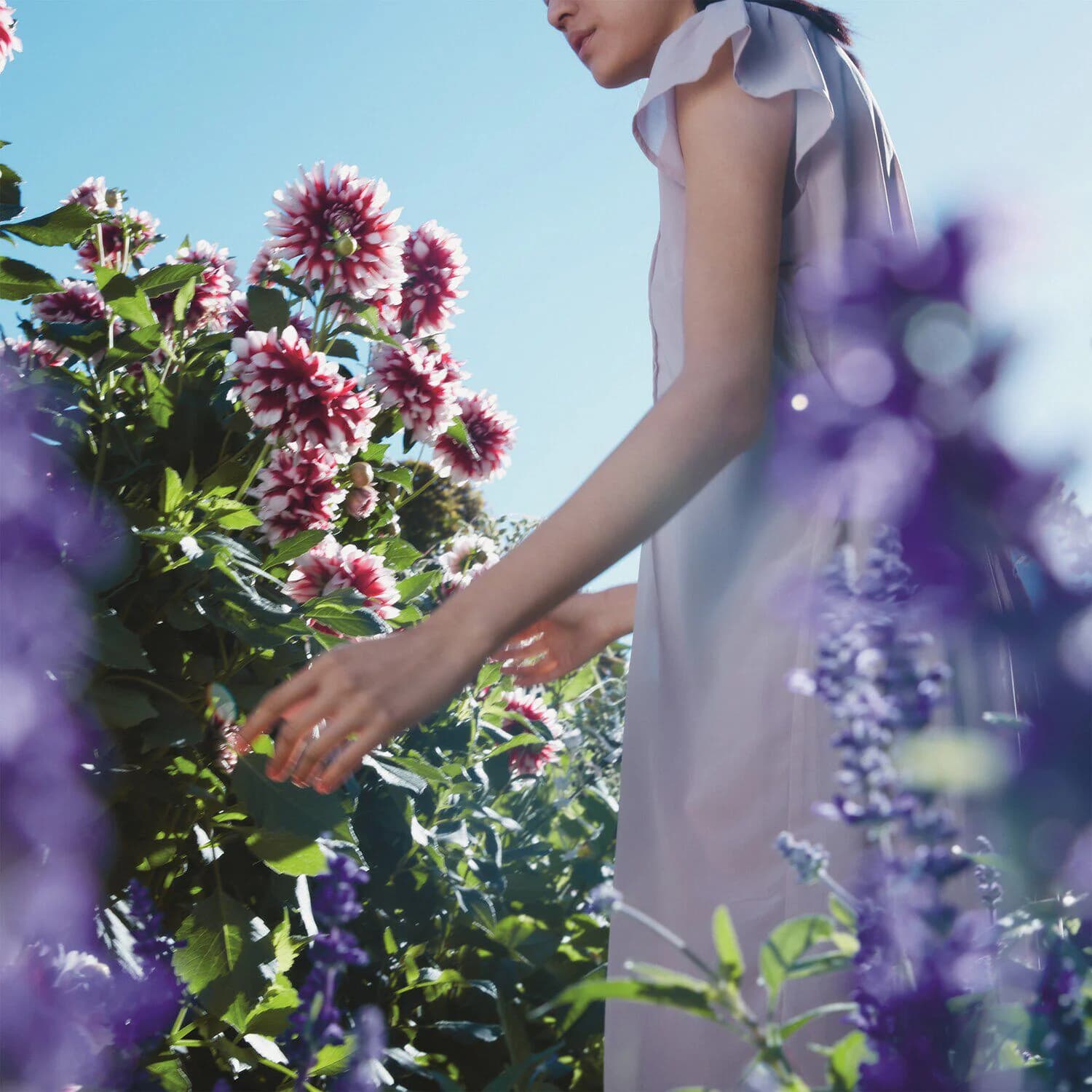 Springtime In the Park - Eau De Toilette 